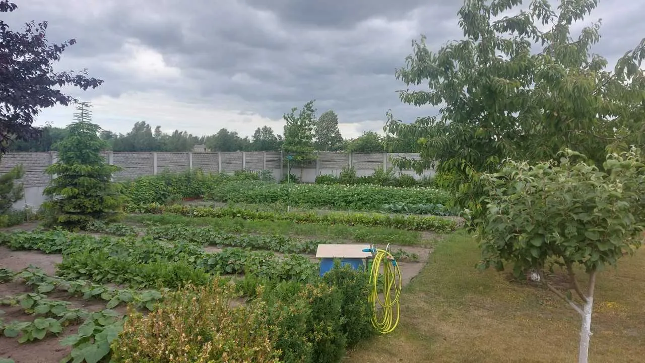 Ogrodniczy teren z uporządkowanymi rzędami zielonych roślin, kamiennym murem na tle, drzewami po obu stronach oraz żółtym wężem nawadniającym zwiniętym na niebieskim stojaku z drewnianym blatem. Niebo jest zachmurzone, a na pierwszym planie widoczne są krzewy i trawa.