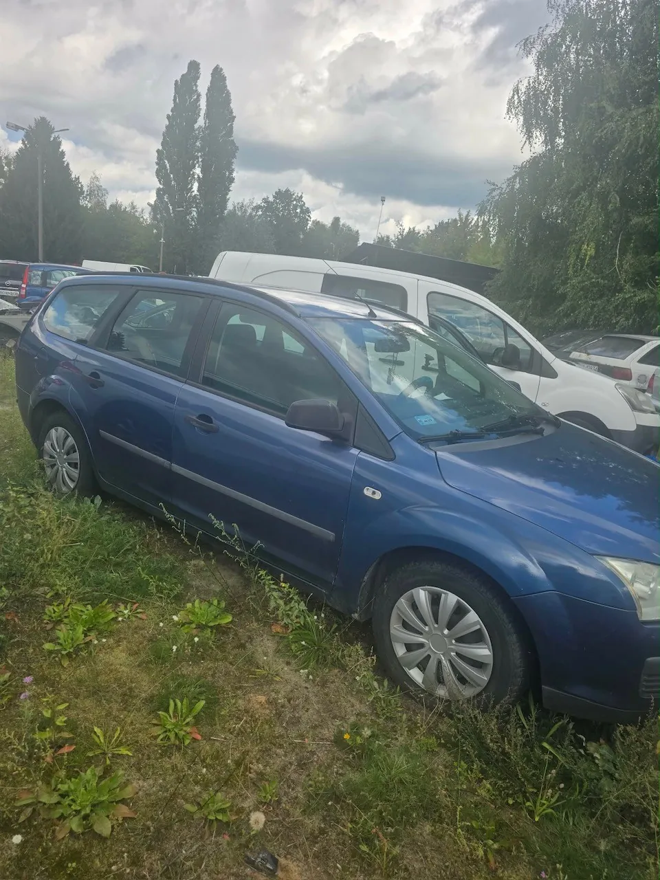 Niebieski samochód osobowy typu kombi zaparkowany na trawiastym poboczu. W tle widoczne są inne zaparkowane pojazdy, w tym biały furgon, oraz zielone drzewa pod zachmurzonym niebem.