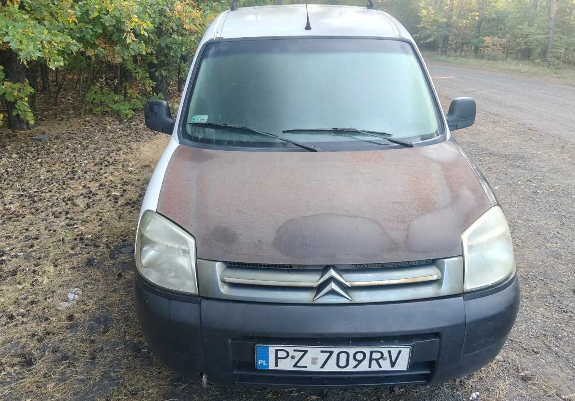 Widok z przodu białego samochodu marki Citroën z brązową, zmatowiałą maską. Pojazd posiada polską tablicę rejestracyjną o numerze PZ 709RV. Samochód stoi na żwirowym poboczu obok drogi, w tle widoczne są zielone drzewa i krzewy.