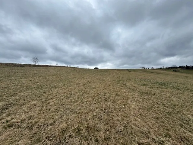 Rozległe pole z suchą, brązowo-zieloną trawą pod ciężkim, zachmurzonym niebem. W oddali widoczne są pojedyncze drzewa i niewielkie grupy drzew po obu stronach horyzontu. Niebo zajmuje górny obszar obrazu, pokryte gęstymi szarymi chmurami. Brak czytelnego tekstu.