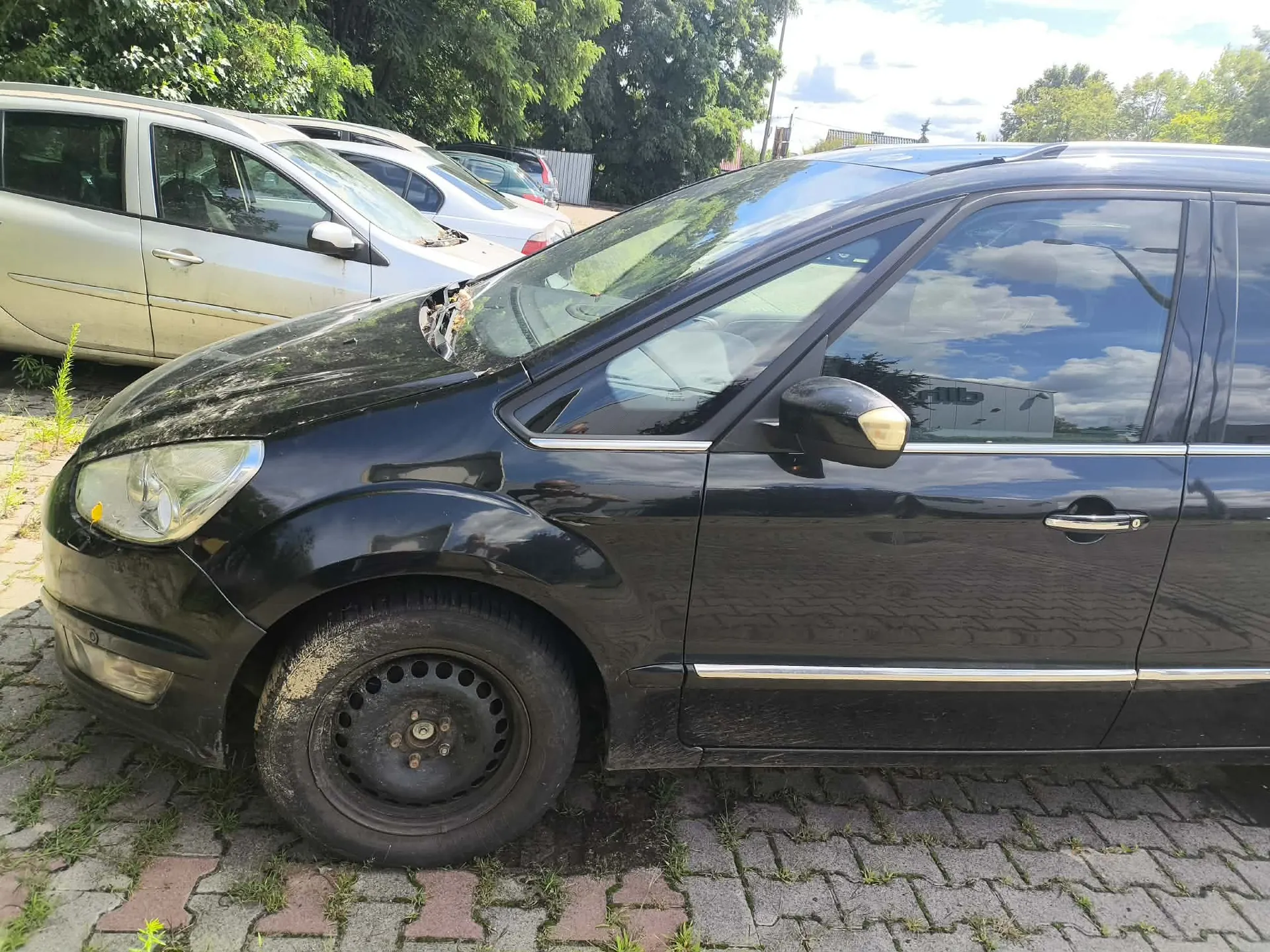 Zbliżenie na przód i bok czarnego samochodu osobowego zaparkowanego na kostce brukowej. Pojazd jest brudny, z widocznymi zabrudzeniami na masce i oponach. W tle widoczne są inne zaparkowane samochody w kolorach srebrnym i białym oraz zielone drzewa.