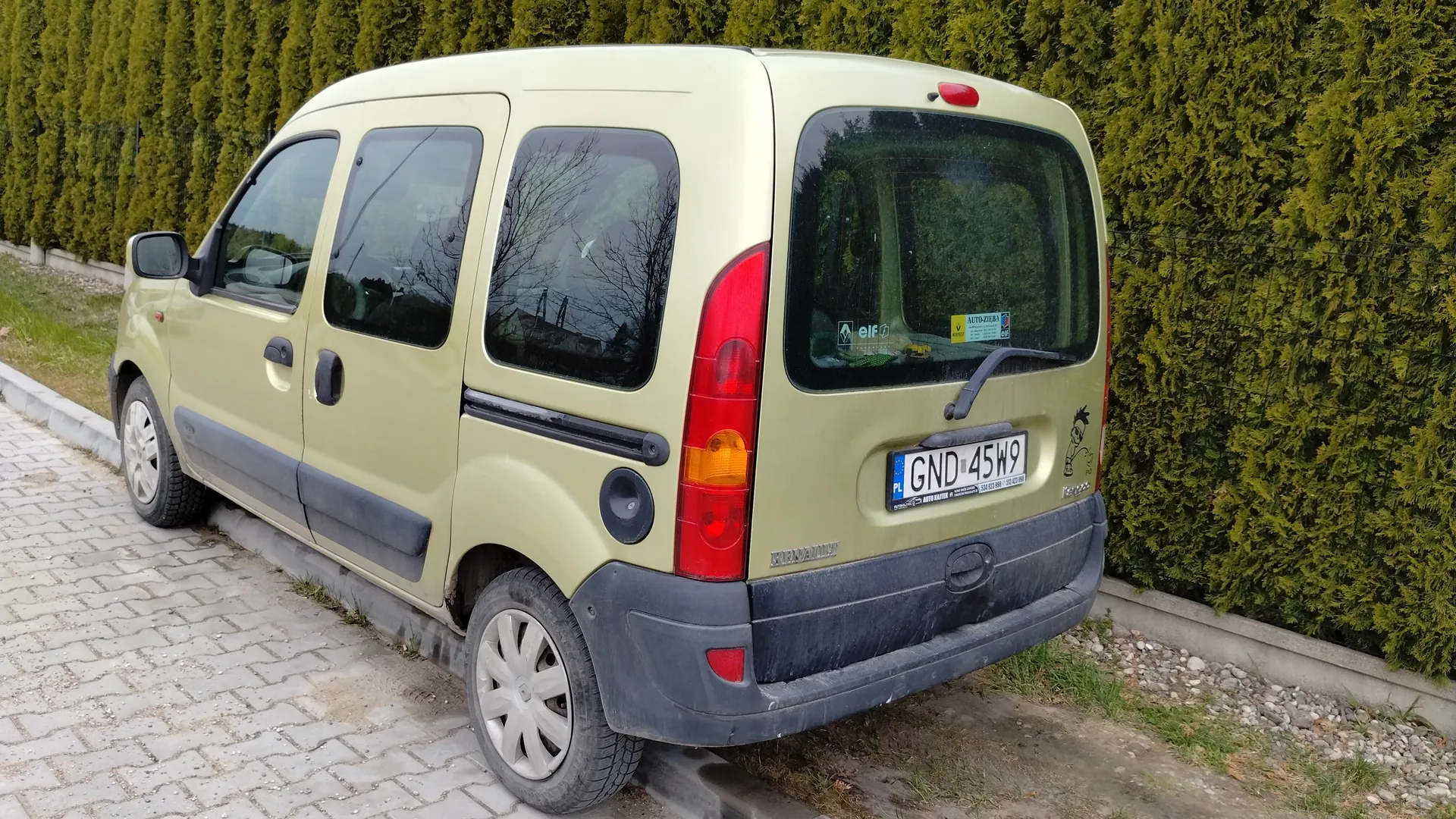 Zdjęcie przedstawia jasnozielony samochód dostawczy marki Renault zaparkowany na brukowanej powierzchni obok wysokiego, zielonego żywopłotu. Widok z tyłu i boku pojazdu. Na tablicy rejestracyjnej widoczny jest numer GND 45W9. W tylnej szybie umieszczone są naklejki, w tym z napisem 'elf' oraz żółta naklejka. Samochód posiada trzy boczne okna, czerwone światła tylne i czarny zderzak. Tło stanowi gęsty żywopłot oraz fragment trawnika i drobnych kamieni.