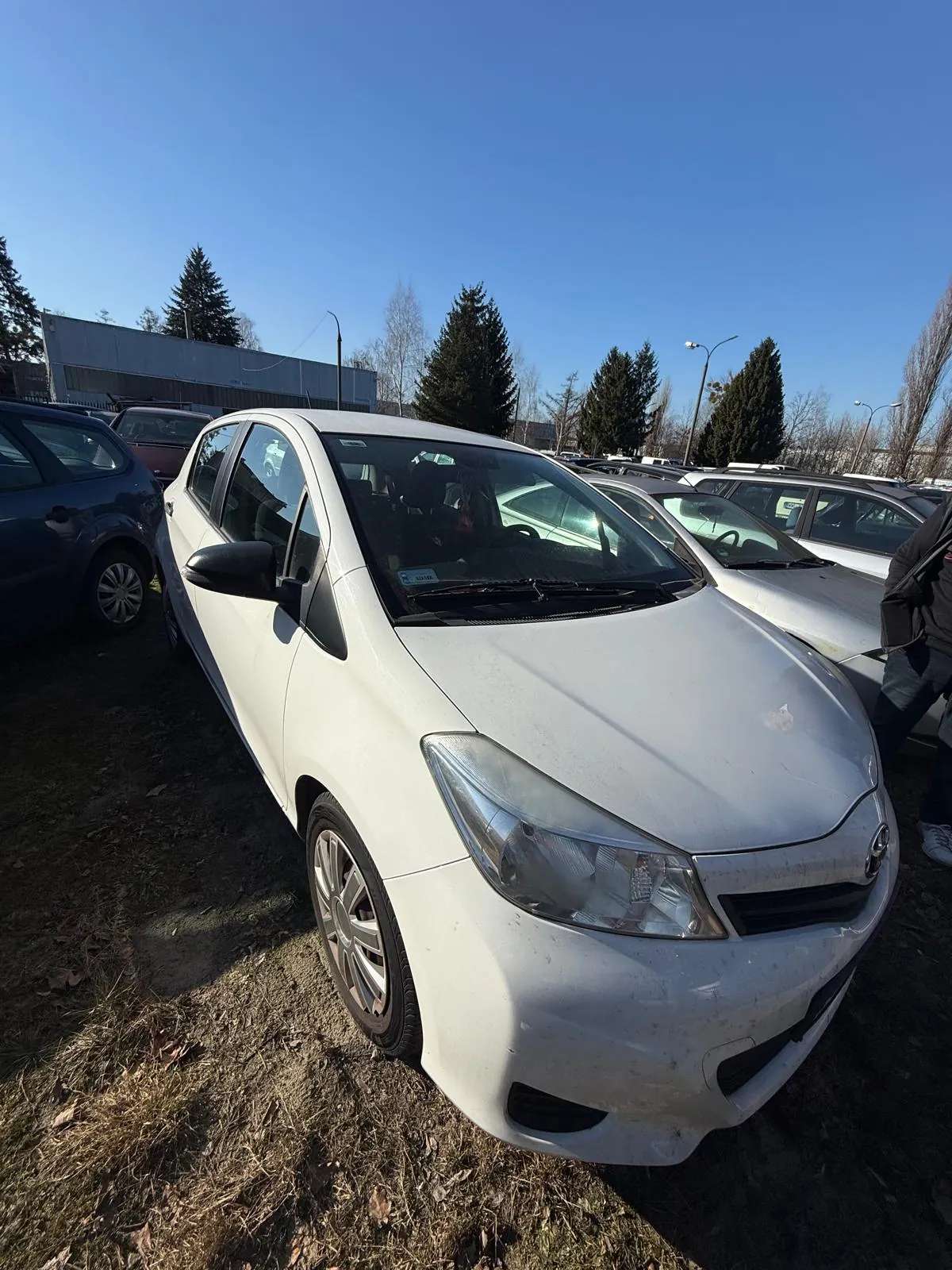 Biały samochód marki Toyota na pierwszym planie, zaparkowany na trawie z suchymi liśćmi. W tle inne pojazdy: ciemnoniebieski po lewej i srebrny po prawej. Widoczne drzewa, budynki przemysłowe, latarnie uliczne oraz bezchmurne niebo. Brak czytelnego tekstu.