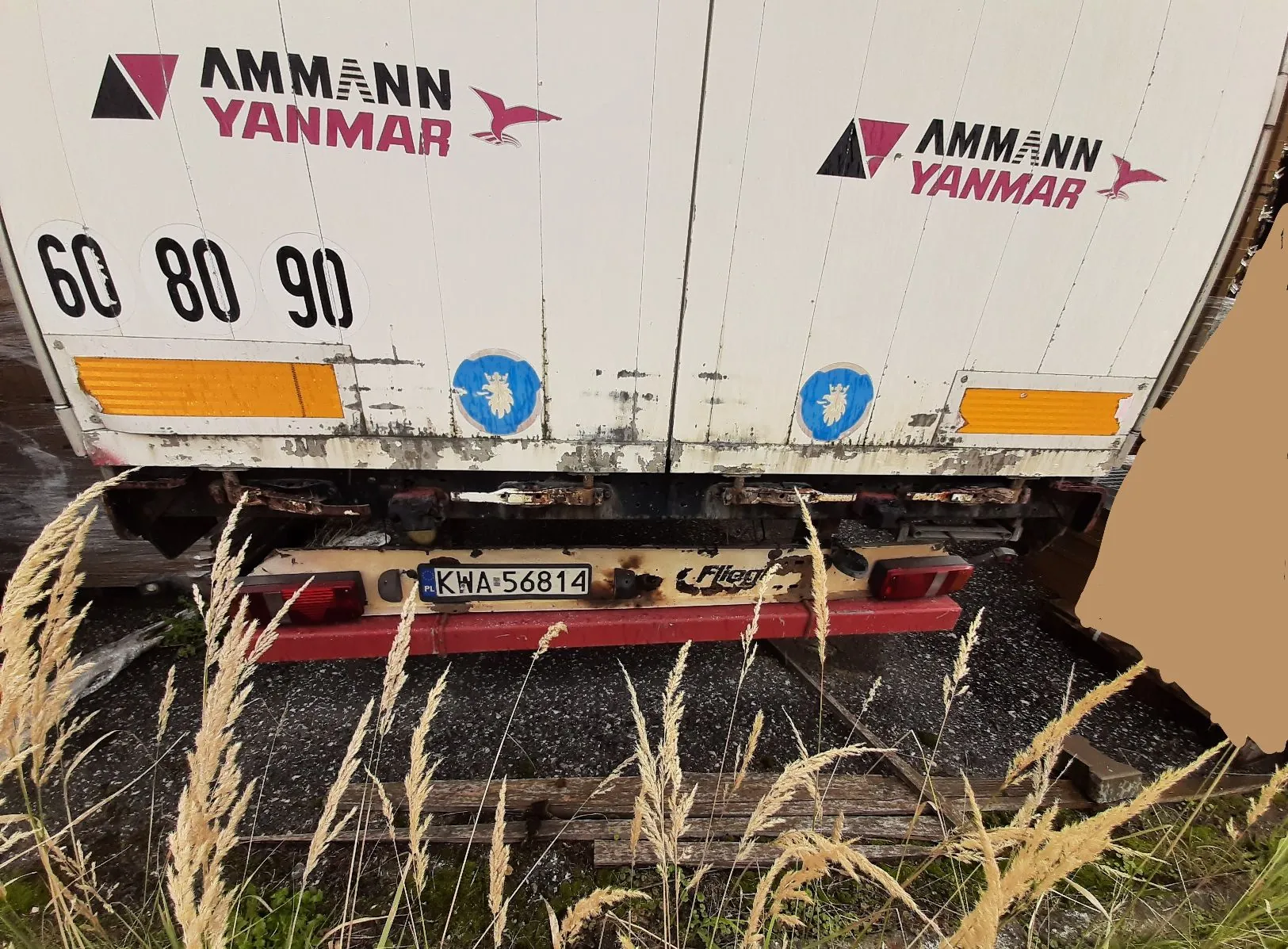 Tylna część białej naczepy ciężarówki z czerwonymi napisami 'AMMANN YANMAR' i logo przedstawiającym rybę. Po lewej stronie znajdują się duże czarne cyfry '60 80 90'. Na nadwoziu widoczne są dwa żółte odblaski oraz dwa niebieskie okrągłe znaki. Na dole znajduje się tablica rejestracyjna o numerze 'KWA 56814'. Zdjęcie wykonane z niskiej perspektywy, z widocznymi na pierwszym planie suchymi trawami.