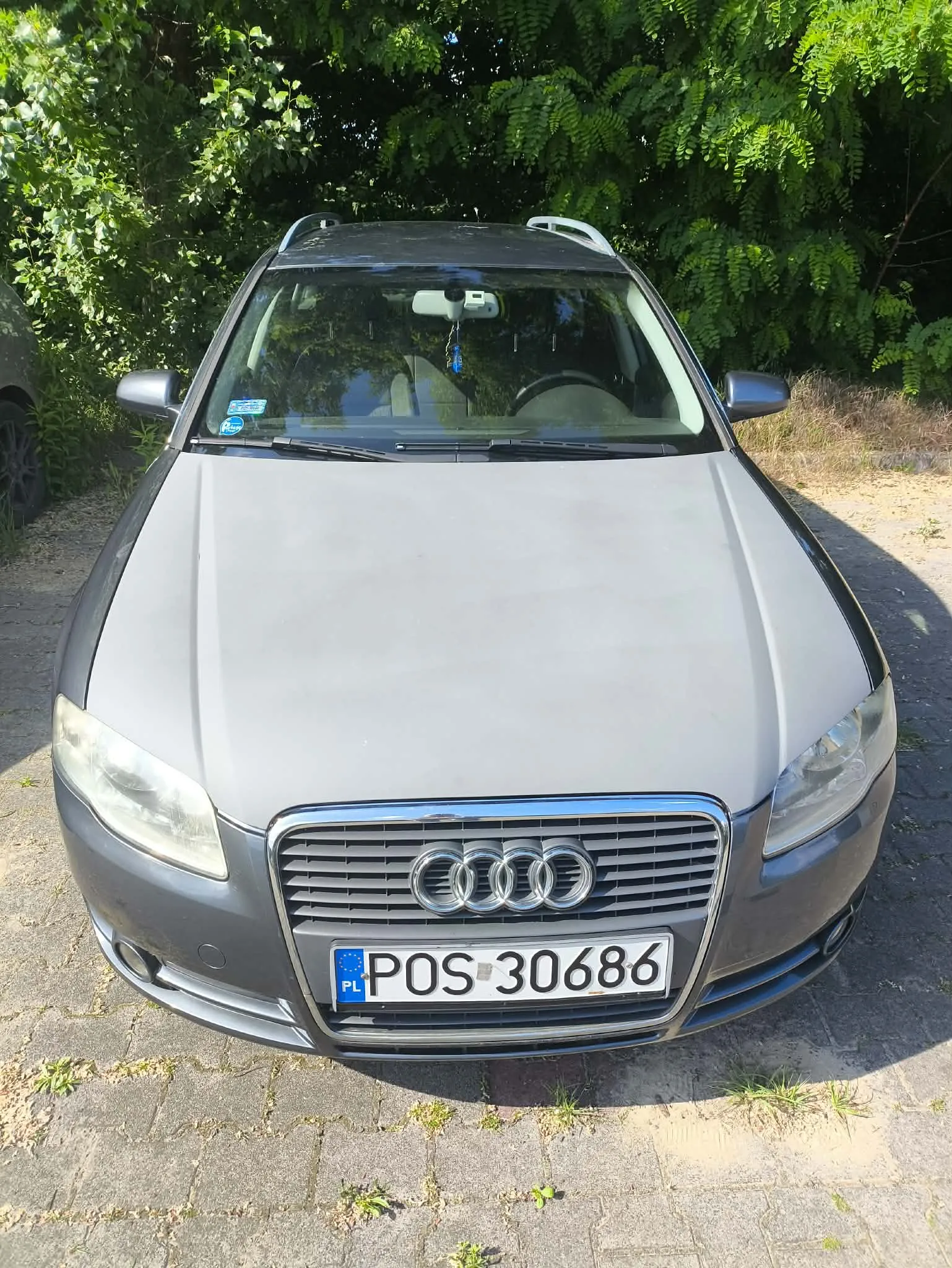 Widok z przodu na szary samochód marki Audi zaparkowany na kostce brukowej. Samochód ma polską tablicę rejestracyjną o numerze POS 30686. W tle widoczne są gęste, zielone drzewa i krzewy.