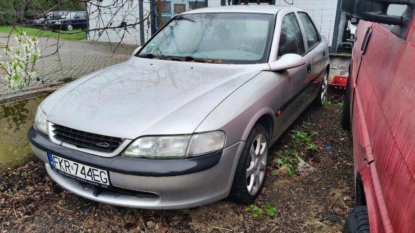 Srebrny samochód osobowy zaparkowany na terenie z suchą trawą i liśćmi. Widoczna tablica rejestracyjna FKR 744EG. Po prawej stronie częściowo widoczny czerwony pojazd. W tle ogrodzenie, budynek oraz inne samochody. Na ziemi rosną rośliny, a w lewym górnym rogu obrazu znajdują się gałęzie z białymi kwiatami.