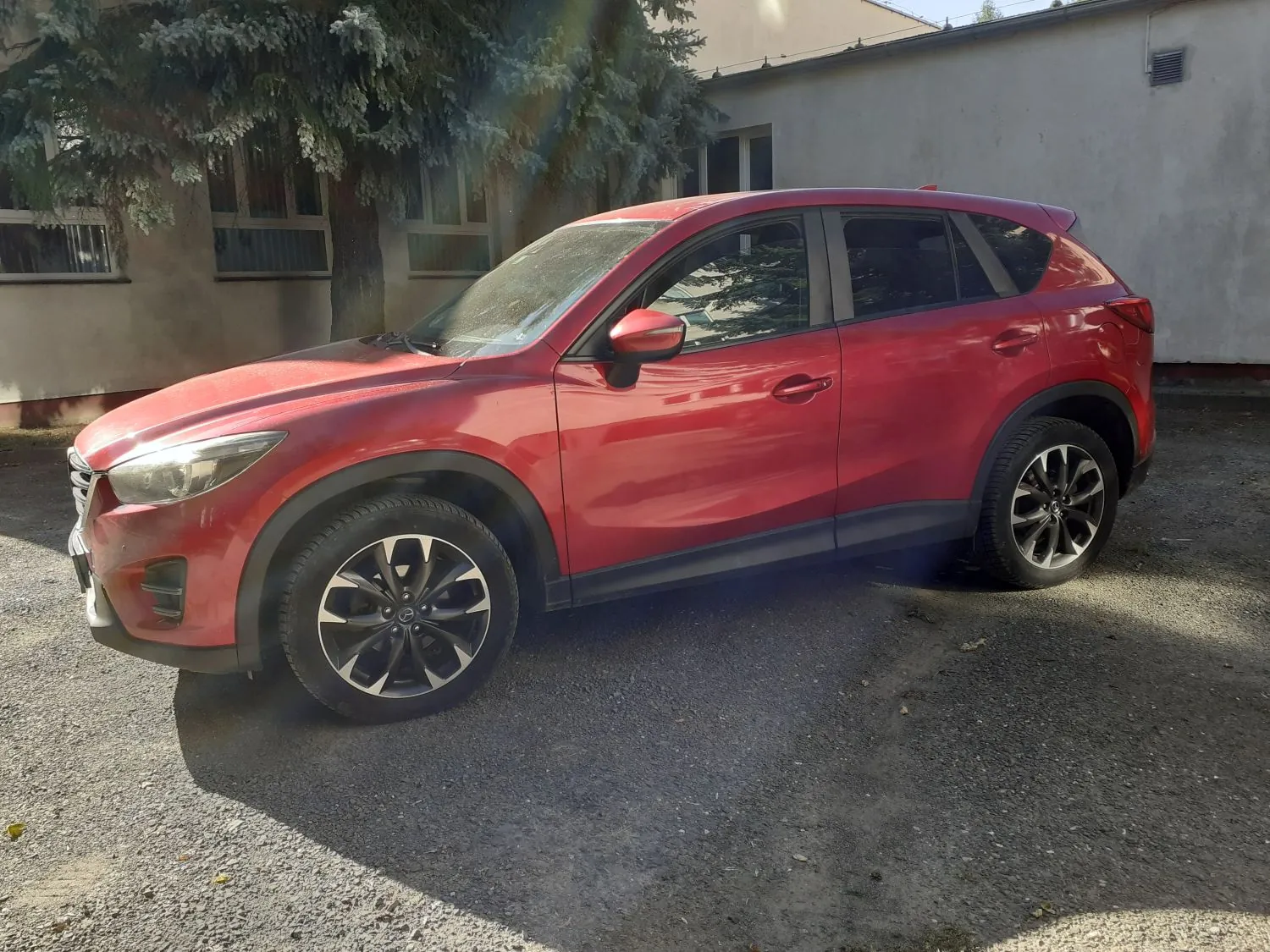 Czerwony samochód typu SUV zaparkowany na asfaltowym podjeździe przed jasnym budynkiem. Obok samochodu rośnie duże drzewo iglaste, które rzuca cień na część pojazdu i podłoże.