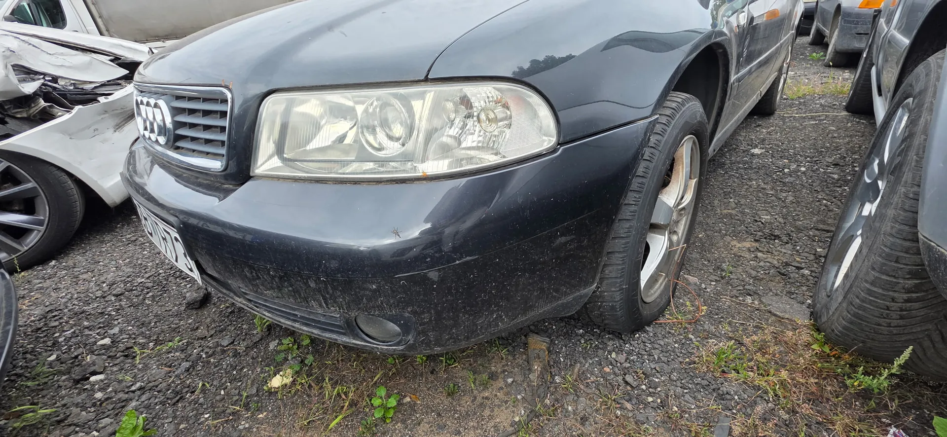 Zbliżenie na przód ciemnego samochodu marki Audi, zaparkowanego na żwirowym placu. Widoczny jest lewy reflektor, fragment maski, grill z logo czterech pierścieni oraz przedni zderzak. Po lewej stronie znajduje się wrak innego, białego samochodu z rozbitym przodem. Po prawej stronie widoczny jest fragment innego ciemnego pojazdu.