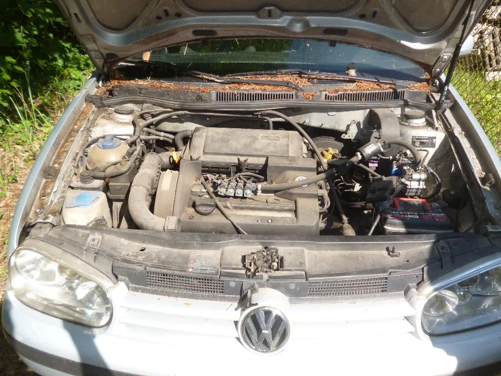 Widok z góry na otwartą maskę jasnoniebieskiego samochodu marki Volkswagen, ukazujący silnik i komponenty komory silnika. Na podszybiu widoczne są wysuszone liście. W centralnej części znajduje się plastikowa osłona silnika, po prawej stronie akumulator, a po lewej zbiornik z płynem. Na przodzie maski widoczne jest logo Volkswagena.