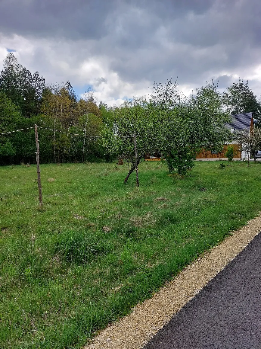 Krajobraz z zieloną trawą na pierwszym planie i asfaltową drogą z obrzeżem z jasnego żwiru po prawej stronie. W centrum znajduje się pojedyncze, średniej wielkości drzewo liściaste, a w tle gęsty las i fragment jasnego budynku z ciemnym dachem. Niebo jest zachmurzone z widocznymi szarymi chmurami.