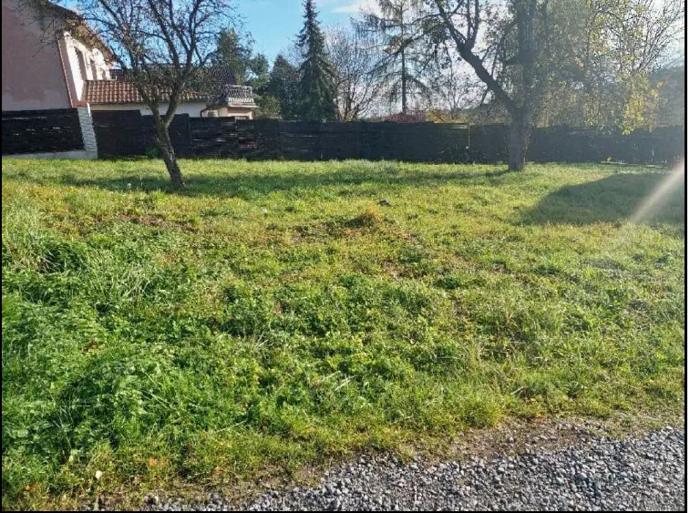 Zielona trawa na podwórku, dwa drzewa, dom z czerwonym dachem i białymi ścianami po lewej stronie, ciemny płot, droga z żwiru w dolnej części obrazu, jasne niebo z kilkoma chmurami