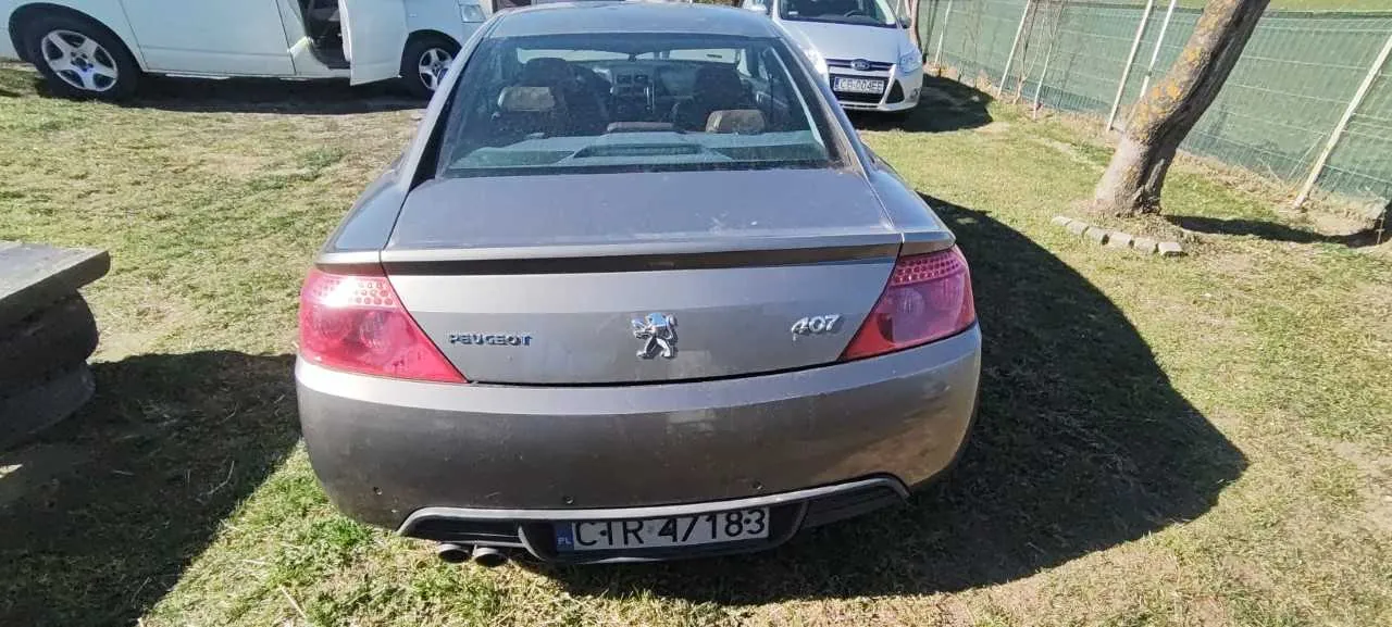 Tył szarego samochodu Peugeot 407 z widocznym logo, napisem 'Peugeot' i oznaczeniem '407' na bagażniku. Tablica rejestracyjna z numerem 'CTR 47183'. W tle białe samochody, trawa, drzewo i siatka ogrodzeniowa. Jeden z białych samochodów ma otwarte drzwi.