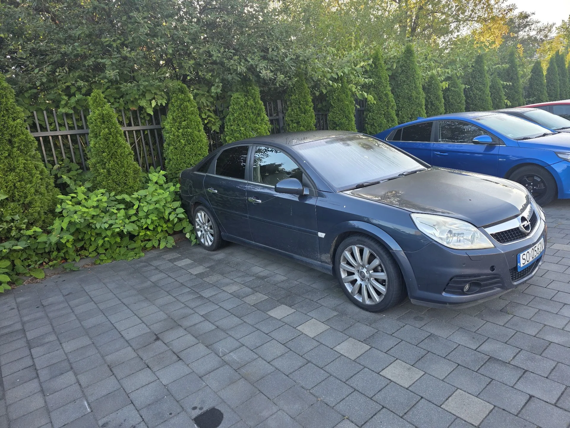 Ciemnoszary samochód osobowy marki Opel zaparkowany na kostce brukowej. Auto stoi bokiem do widza, z przodu widoczna jest tablica rejestracyjna o numerze SO 05801. W tle znajduje się gęsty żywopłot z zielonych krzewów i fragment niebieskiego samochodu zaparkowanego obok.