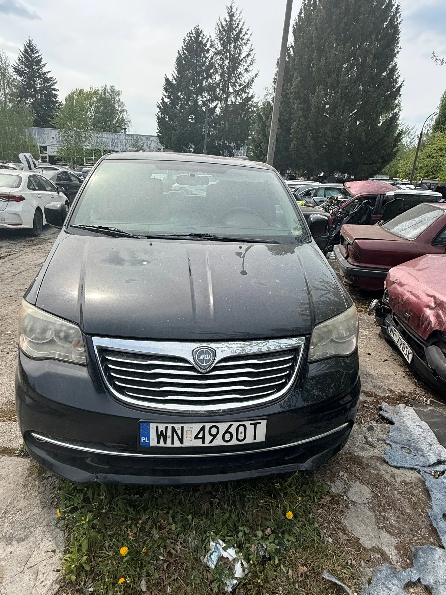 Czarny samochód marki Lancia z tablicą rejestracyjną PL WN 4960T, stojący na terenie z betonowymi płytami i trawą z żółtymi kwiatami. W tle widoczne są inne pojazdy, w tym uszkodzone (czerwony samochód z otwartym kapotem), wysokie drzewa iglaste oraz budynek. Niebo jest pochmurne.