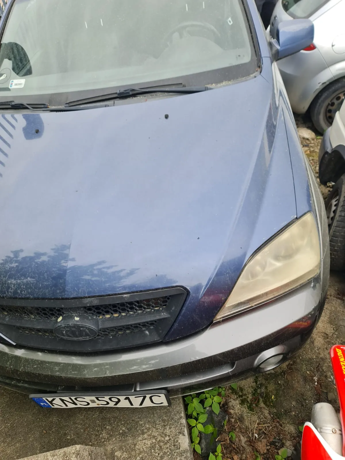Przednia część niebieskiego samochodu marki Kia z tablicą rejestracyjną KNS-5917C. Widoczne są zanieczyszczone reflektory, czarna atrapa chłodnicy oraz przednią szybę z wycieraczkami. W tle częściowo widoczny srebrny samochód i fragment czerwonego pojazdu. Pod samochodem ziemia z zielonymi roślinami i suchymi liśćmi.