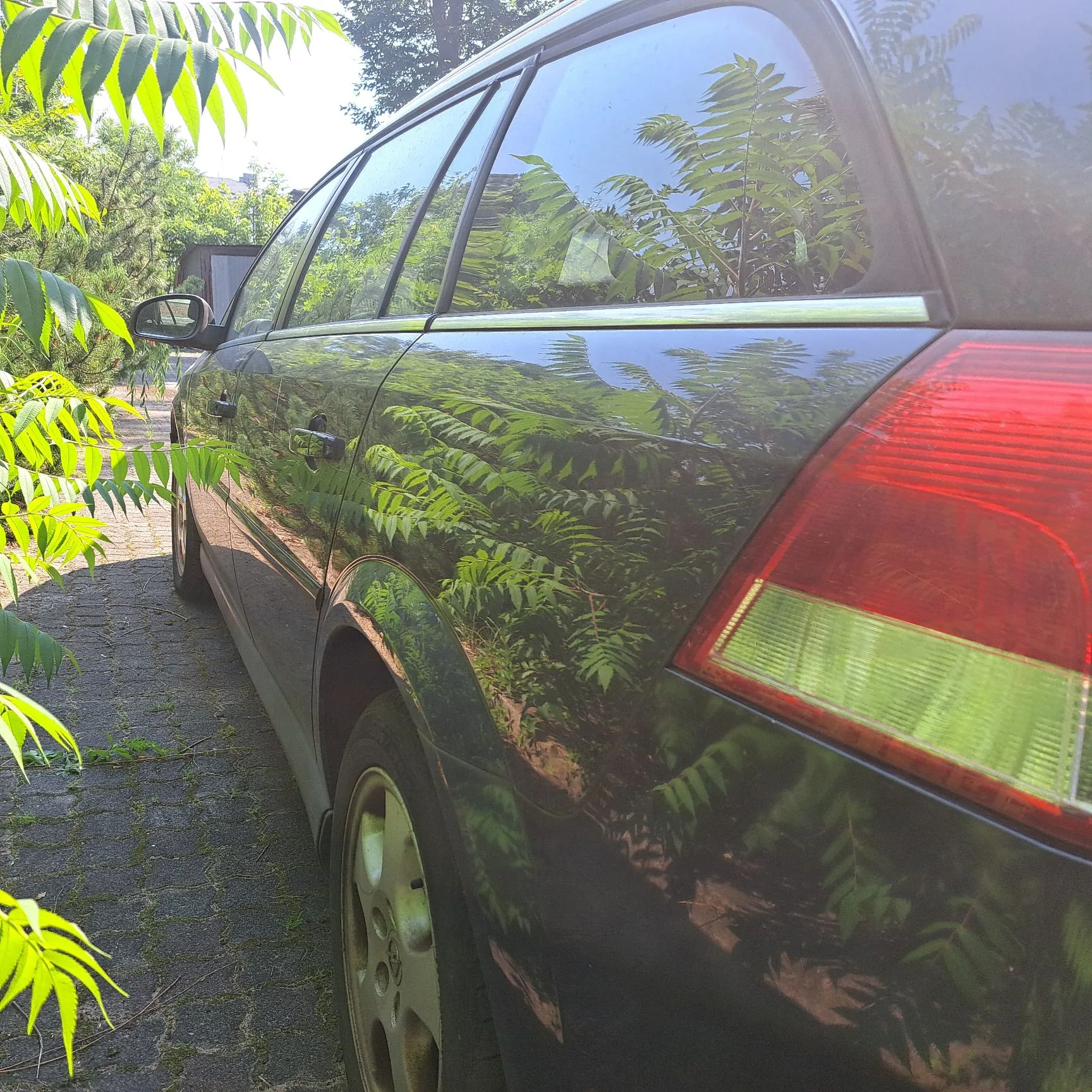 Zbliżenie na tylną, prawą część ciemnoszarego samochodu typu kombi. W lakierze nadwozia oraz w szybach odbijają się zielone liście drzew. Widoczny jest czerwony tylny klosz lampy oraz tylne koło. Samochód zaparkowany jest na kostce brukowej, a po lewej stronie kadru znajdują się gałęzie z zielonymi liśćmi.