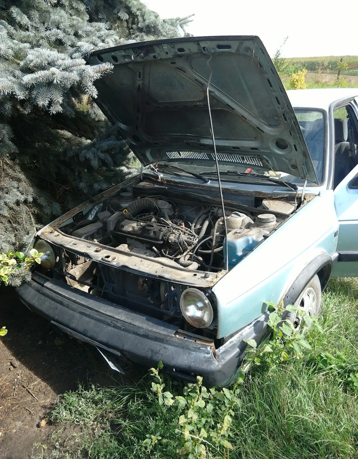 Jasnoniebieski samochód osobowy z otwartą maską, odsłaniającą silnik. Pojazd stoi na trawie obok dużego, iglastego drzewa. Samochód jest w złym stanie technicznym, brakuje części przedniego pasa nadwozia między reflektorami.