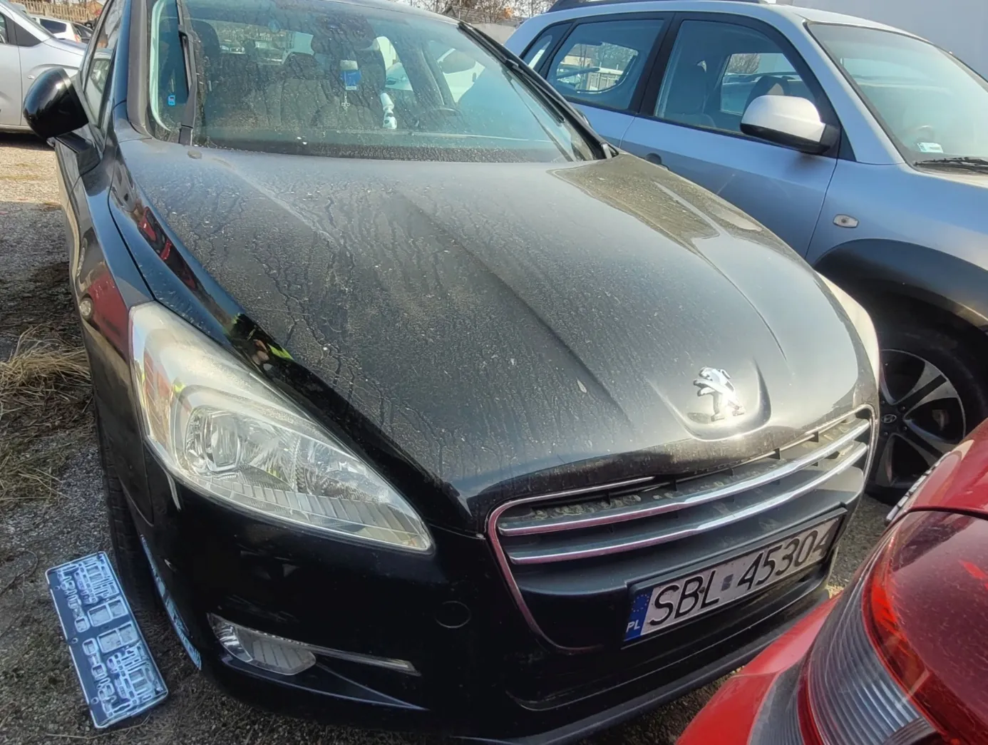 Czarny samochód marki Peugeot z widocznym logo na masce i tablicą rejestracyjną SBL 45304 z kodem PL. Przy lewym przednim kole leży nieprzymocowana tablica rejestracyjna z białym wzorem na niebieskim tle. W tle widoczne są inne pojazdy: niebieski SUV i czerwony samochód. Samochody zaparkowane są na podłożu z żwirem i suchą trawą.