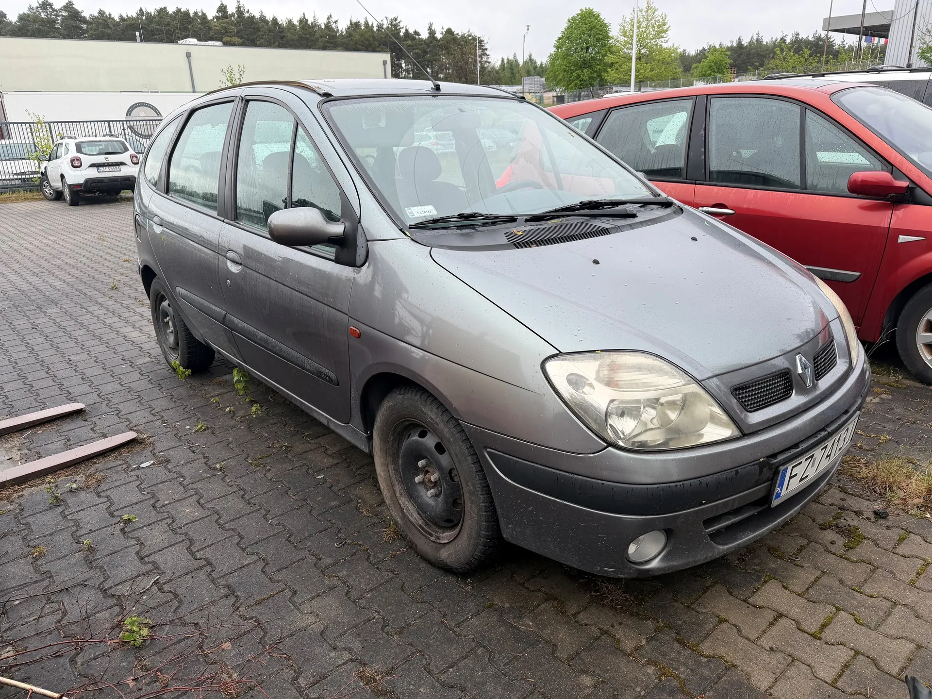Szary samochód osobowy marki Renault z tablicą rejestracyjną FZ 7442 zaparkowany na brukowanym placu. Obok znajduje się czerwony samochód, a w tle biały SUV oraz budynek z zielonymi drzewami. Na nawierzchni widoczne są plamy mchu i suchych gałązek. Niebo jest zachmurzone.