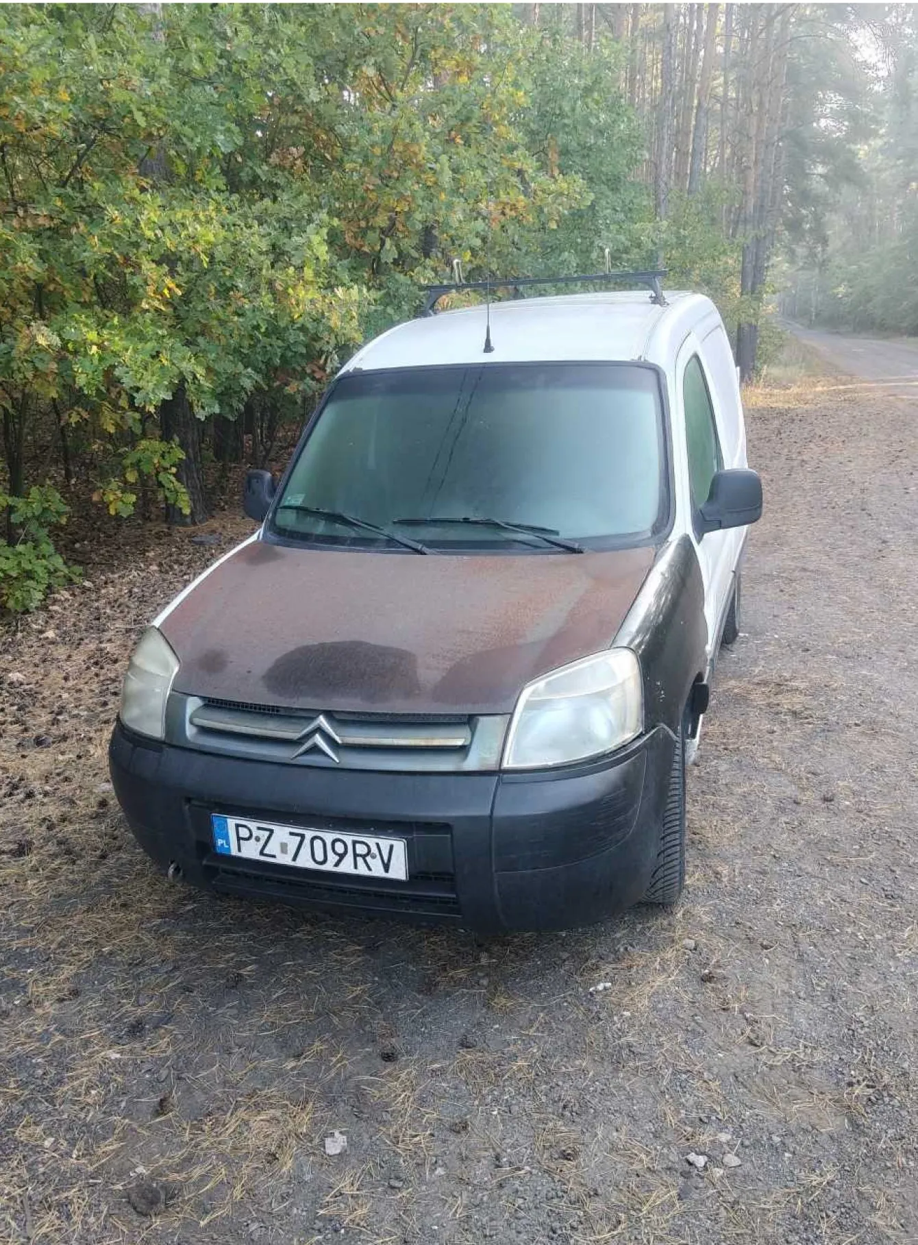Biały samochód dostawczy marki Citroën zaparkowany na piaszczystej drodze w lesie. Maską samochodu pokrywa się rdza, a na dachu zamontowany jest bagażnik. Tablica rejestracyjna pojazdu to PZ 709RV.