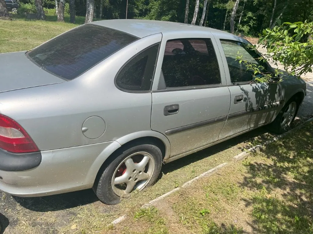 Srebrny samochód osobowy typu sedan zaparkowany na trawiastym terenie obok krawężnika. Widok z boku i od tyłu. W tle widać zielone drzewa i las.