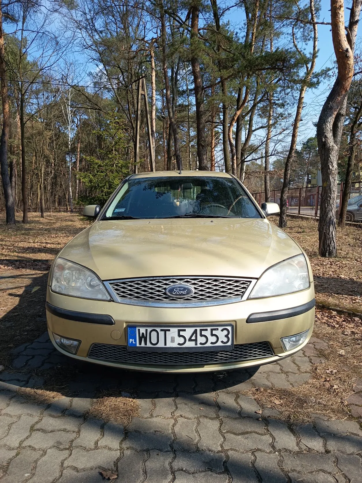 Złoty samochód marki Ford z przodu, z tablicą rejestracyjną PL WOT 54553, zaparkowany na brukowanej powierzchni. W tle las z wysokimi drzewami bez liści i częściowo zielonymi iglastymi drzewami, niebieskie niebo. Na pierwszym planie widoczne są cienie drzew na ziemi i drodze.