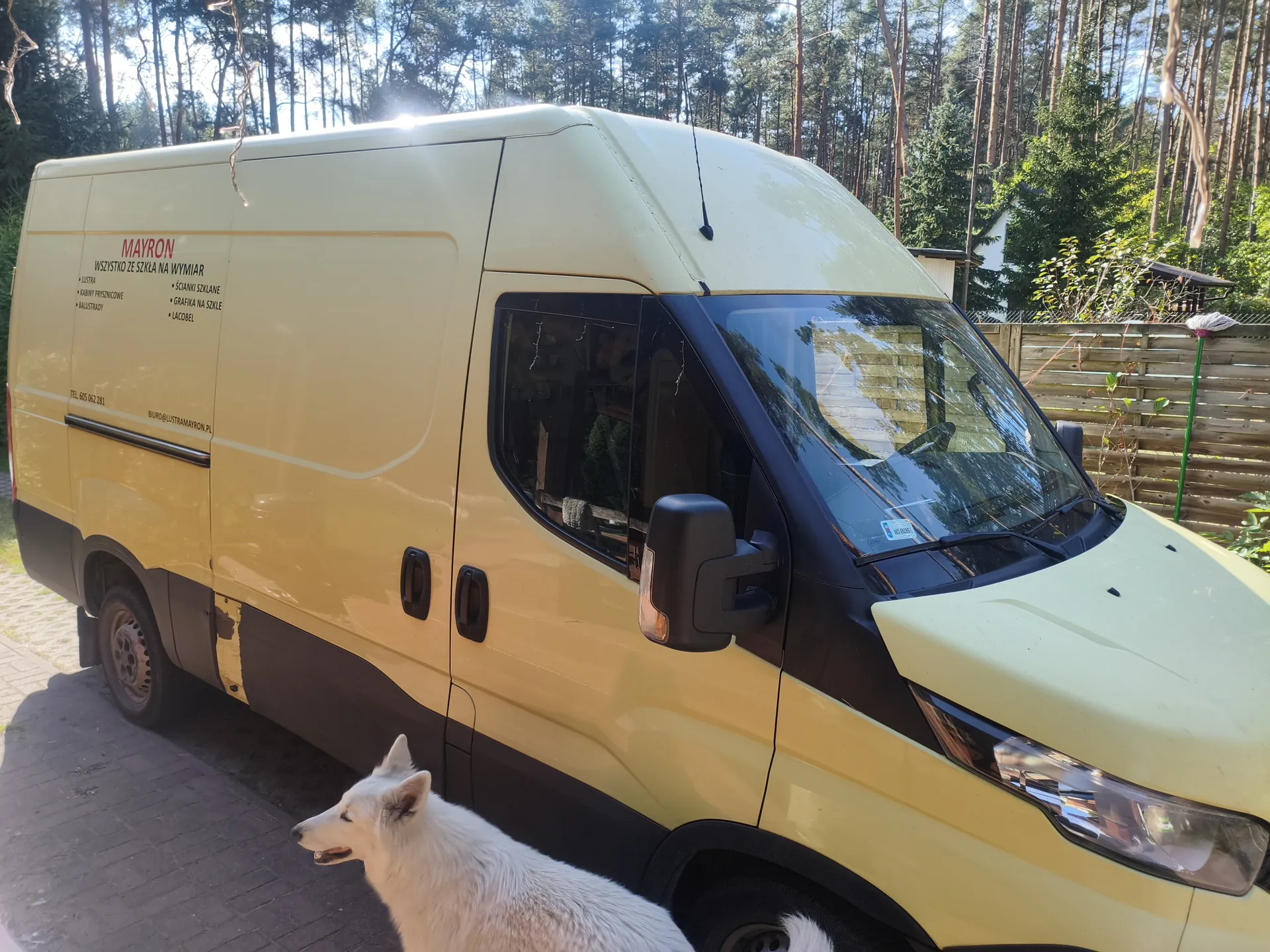 Żółty van z napisem "MAYRON" i usługami szklarskimi (lustra, kabiny prysznicowe, balustrady, ścianki szklane, grafika na szkle, Lacobel), numerem telefonu 605 052 281 i adresem biuro@lustramayron.pl. Przed nim biały pies, tło: ogrodzenie, drzewa, słoneczna pogoda.