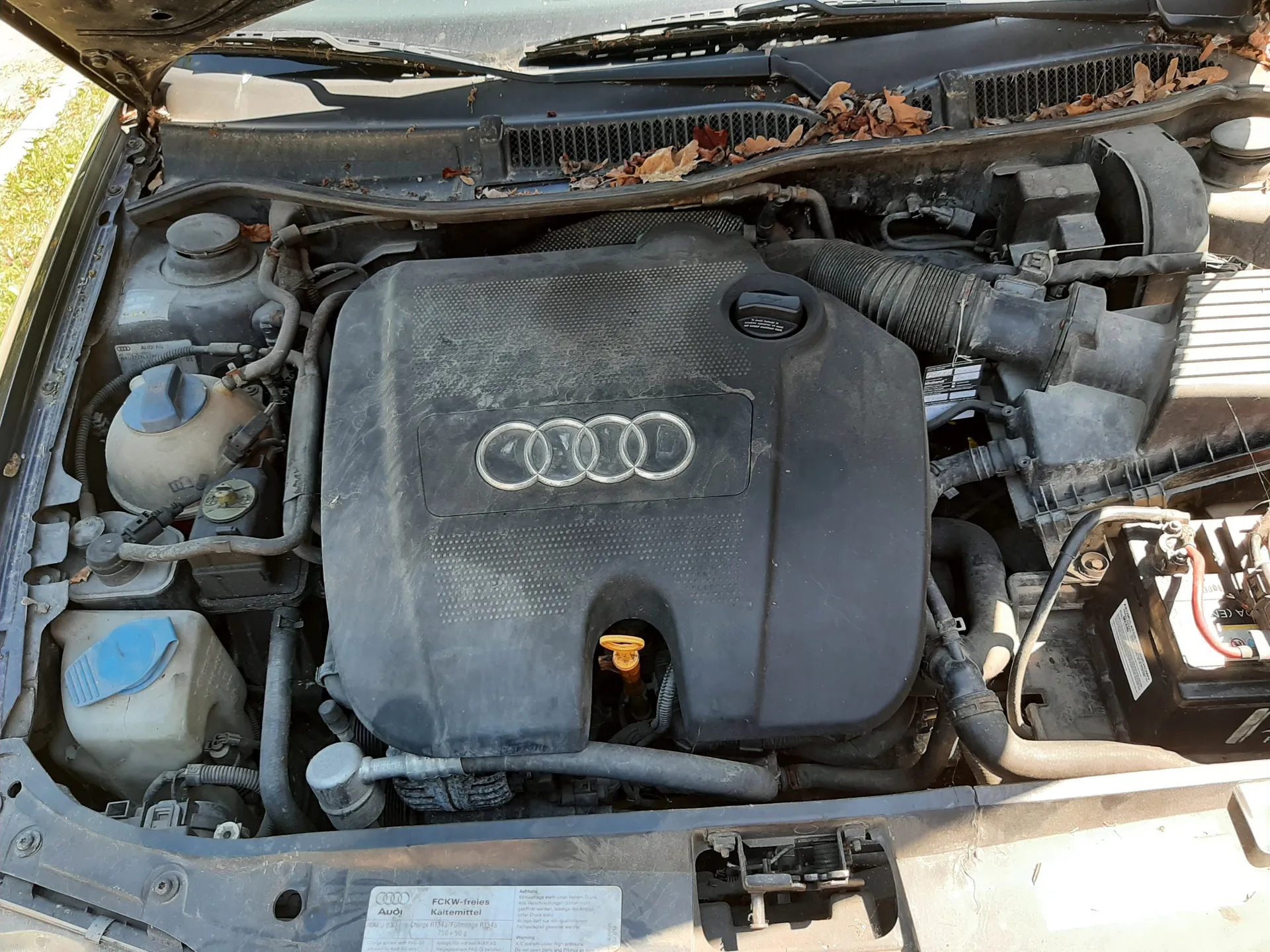Audi A3 2002 - zdjęcie 4