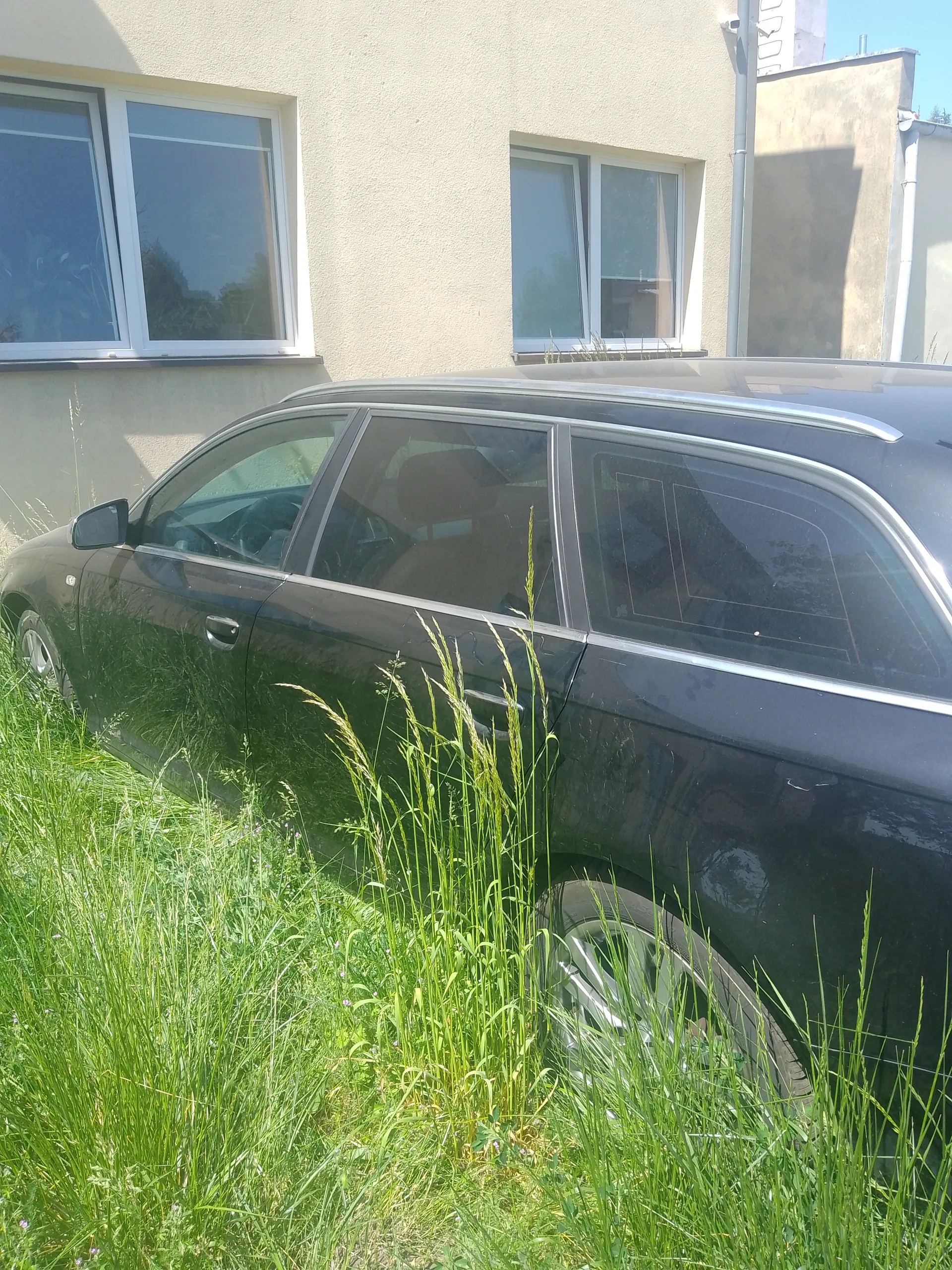 Czarny samochód typu kombi zaparkowany na wysokiej, zielonej trawie. W tle budynek o beżowej elewacji z białymi okiennicami, w których widać odbicie drzew. Samochód ma metalowe listwy nad oknami i felgi. Trawa sięga wysoko, częściowo zakrywając koła pojazdu. Na budynku widoczne są dwa okna z podwójnymi szybami oraz rura odprowadzająca wodę.