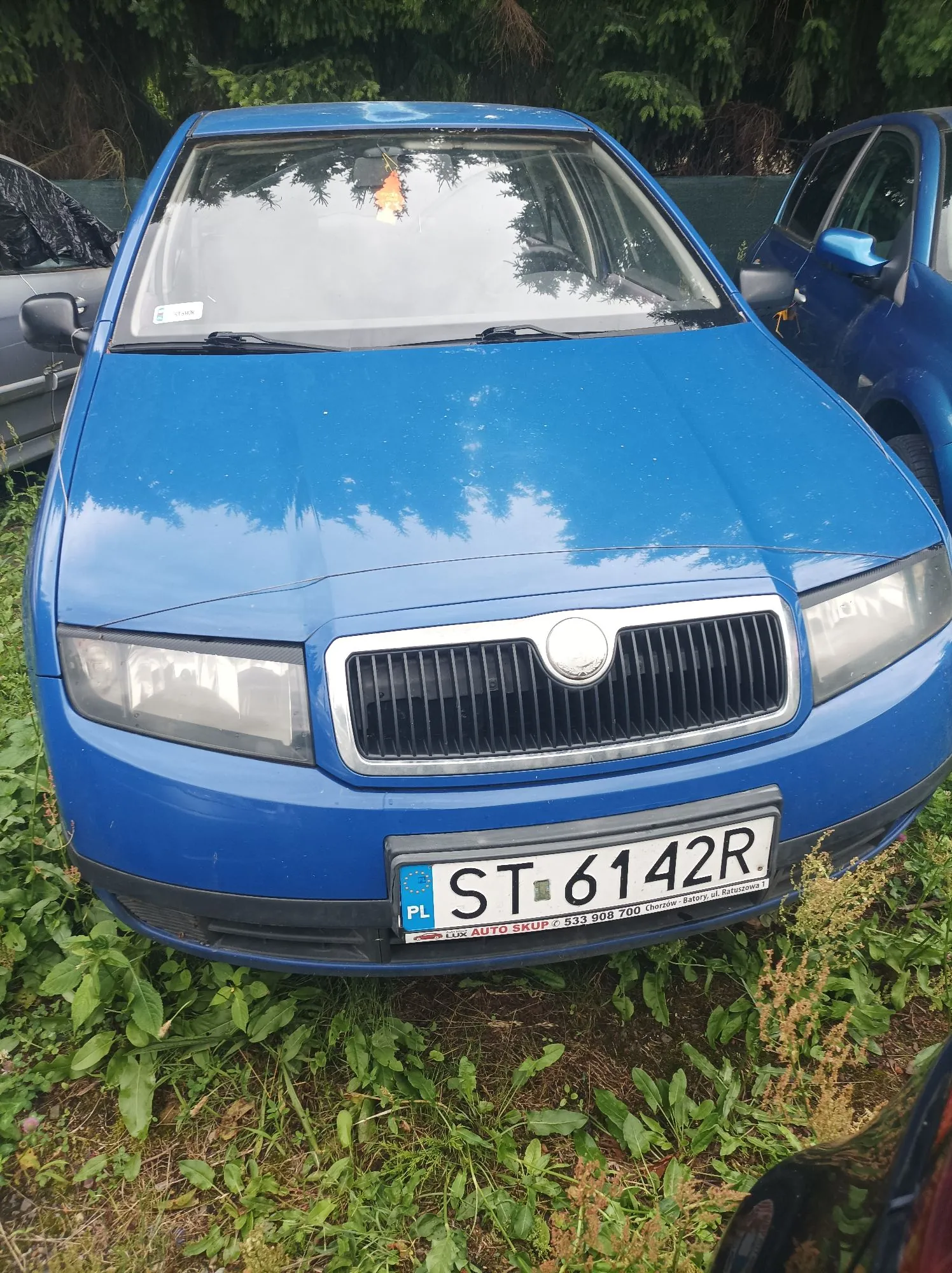 Niebieski samochód osobowy marki Skoda zaparkowany na trawie. Widoczny jest przód pojazdu z tablicą rejestracyjną o numerze ST 6142R. Poniżej numeru rejestracyjnego znajduje się napis: AUTO SKUP tel. 533 908 700 Chorzów - Batory, ul. Katowicka 1.