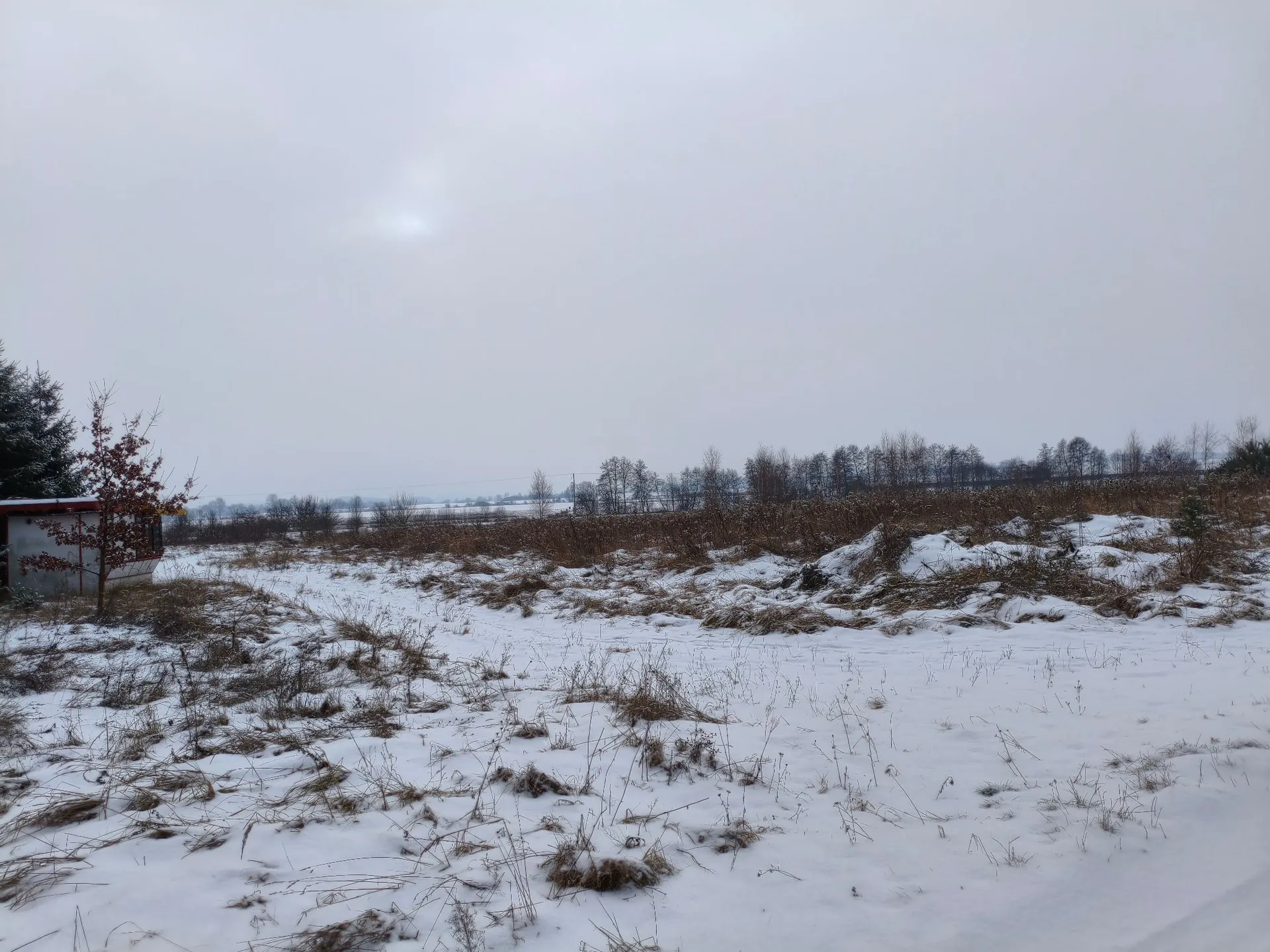 Zimowy krajobraz pokryty śniegiem pod zachmurzonym, jasnym niebem. Na pierwszym planie widać zaśnieżone pole z wystającymi kępami suchej, brązowej trawy. Po lewej stronie znajduje się fragment białego budynku z czerwonym dachem oraz bezlistne drzewo. W oddali widoczna jest linia drzew i krzewów oddzielająca pole od horyzontu.