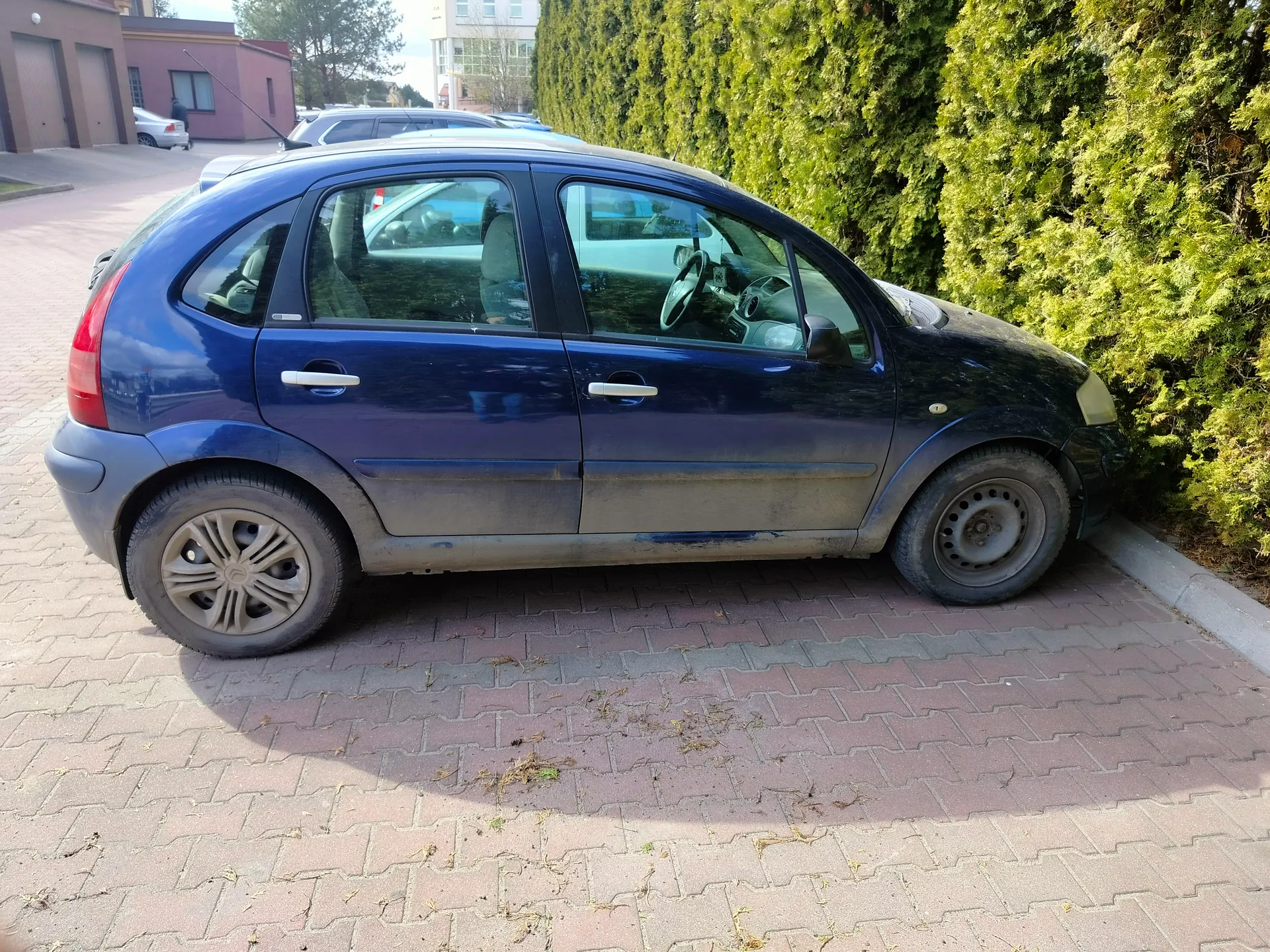 Niebieski samochód osobowy typu hatchback zaparkowany na brukowanej powierzchni obok wysokiego zielonego żywopłotu. Samochód ma zabrudzoną dolną część nadwozia i felgi. W tle widoczne są inne zaparkowane pojazdy, budynki oraz drzewa. Słoneczny dzień.