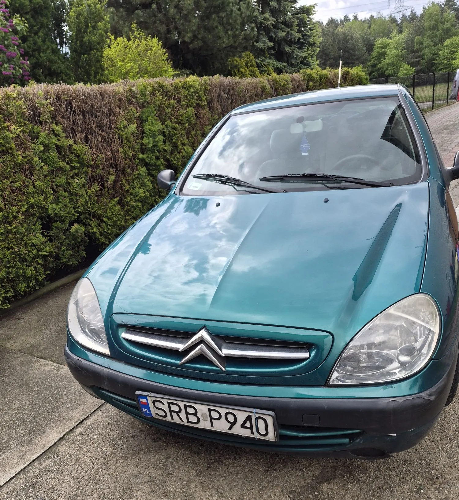 Widok z przodu na turkusowy samochód marki Citroën zaparkowany na podjeździe. Pojazd posiada polską tablicę rejestracyjną o numerze SRB P940. W tle znajduje się gęsty, zielony żywopłot oraz drzewa.