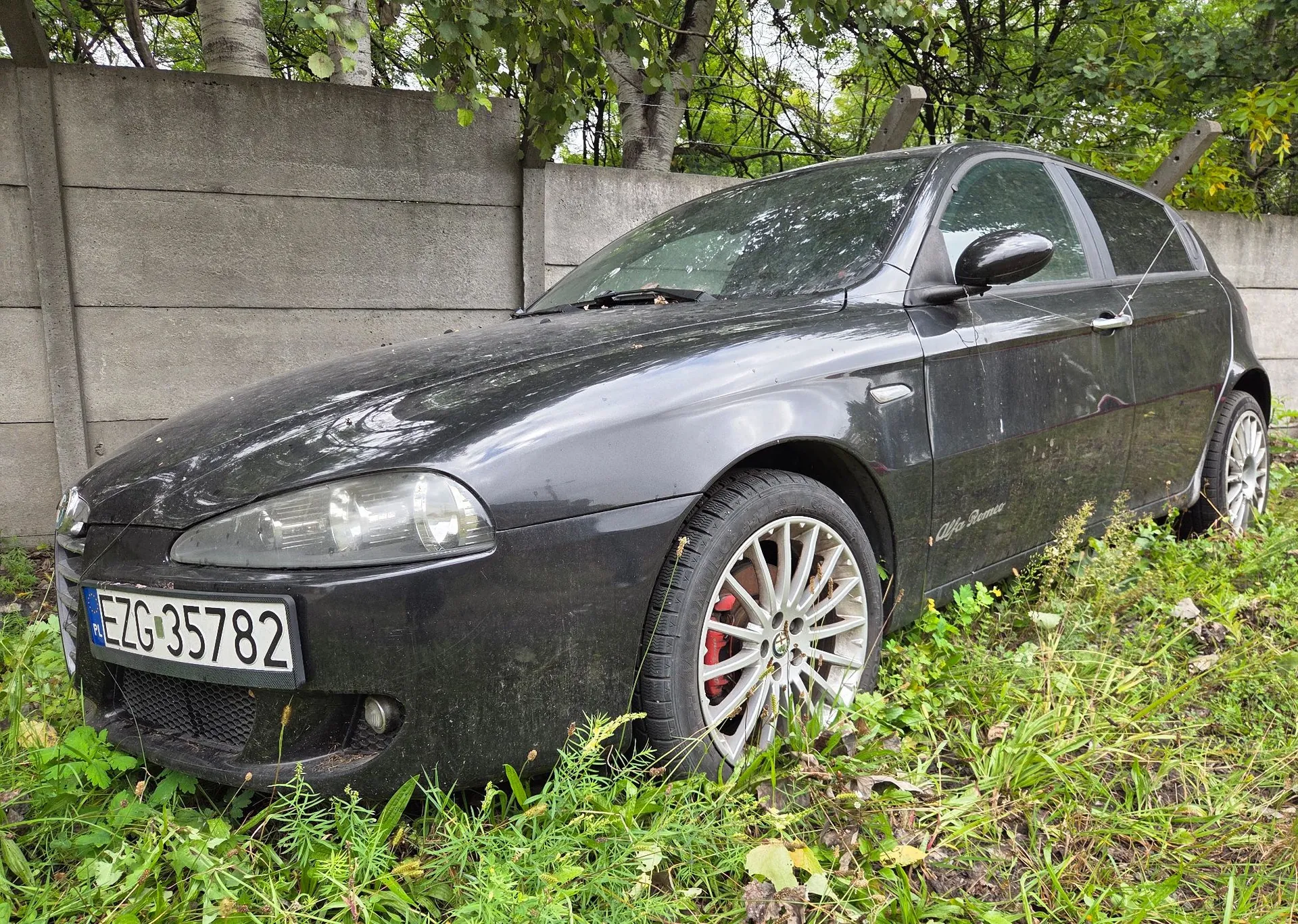 Czarny, zakurzony samochód marki Alfa Romeo zaparkowany w wysokiej trawie obok betonowego muru. Auto posiada polską tablicę rejestracyjną o numerze EZG 35782. Widoczne są wieloramienne, jasne felgi z czerwonymi zaciskami hamulcowymi. W tle znajdują się zielone drzewa.