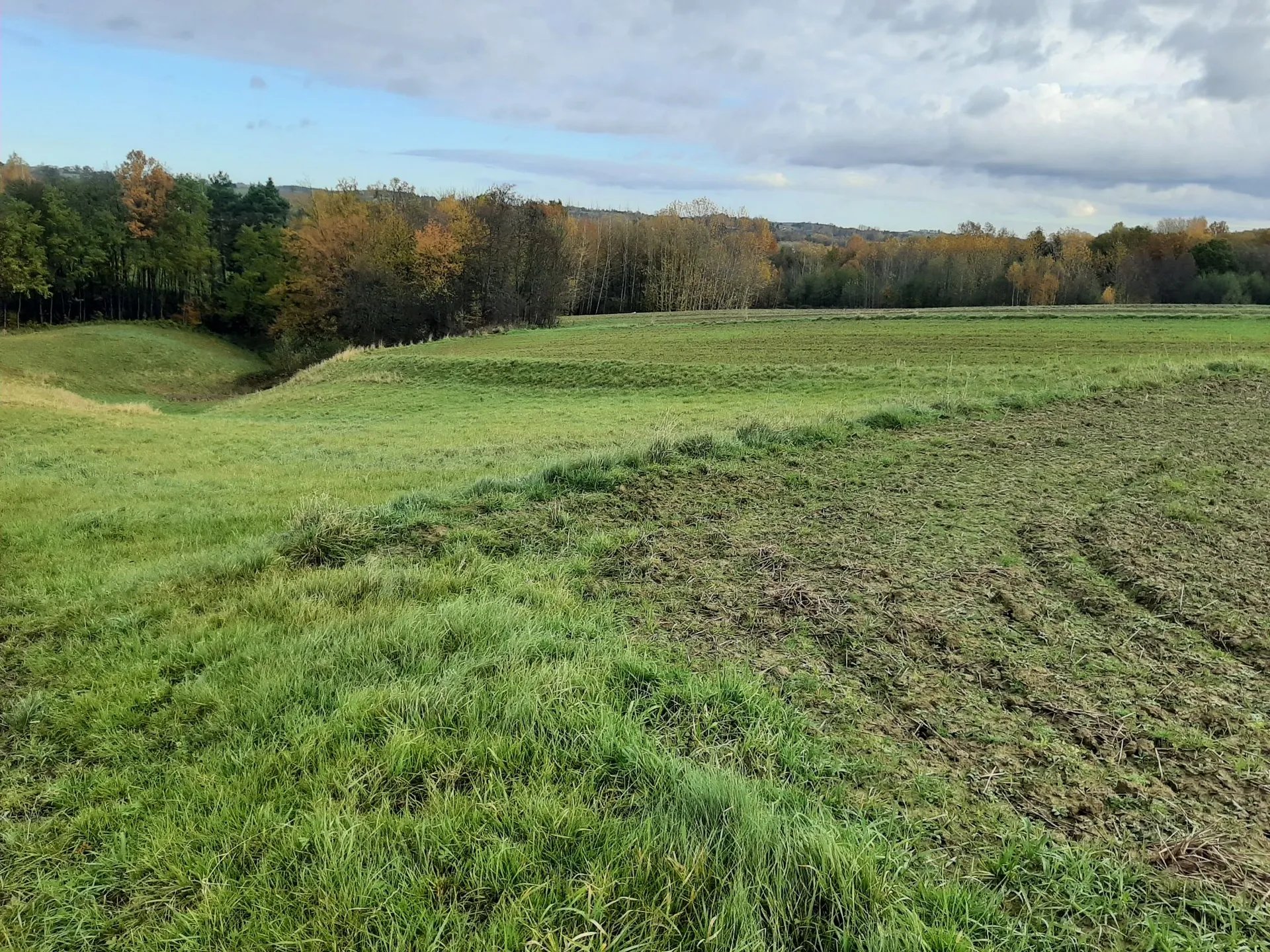 Krajobraz wiejski przedstawiający zielone pole z fragmentem zaoranej ziemi na pierwszym planie po prawej stronie. W tle znajduje się pas lasu z drzewami w jesiennych barwach (żółcie, pomarańcze, zielenie). Nad horyzontem widać zachmurzone niebo.