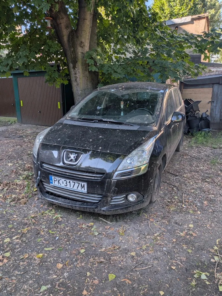 Brudny, czarny samochód marki Peugeot zaparkowany na nieutwardzonym podłożu z liśćmi, przed dużym drzewem i brązowym garażem. Samochód ma polską tablicę rejestracyjną o numerze PK 3177M.