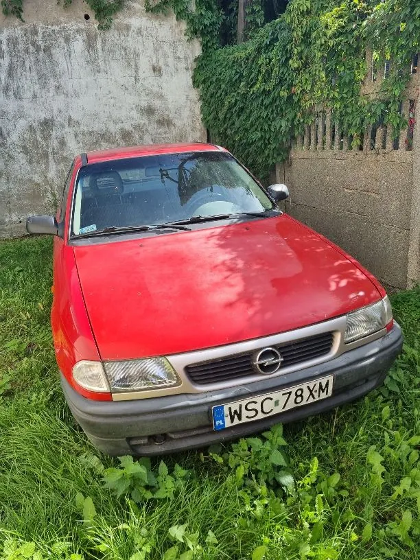 Czerwony samochód osobowy marki Opel zaparkowany na trawie przed szarym murem porośniętym zielonymi roślinami. Pojazd ma polską tablicę rejestracyjną o numerze WSC 78XM.