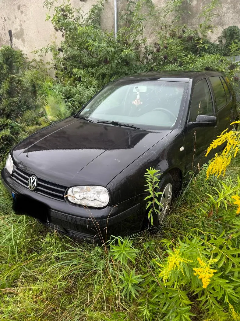 Czarny samochód marki Volkswagen zaparkowany w wysokiej, zielonej trawie i roślinności. Pojazd jest widoczny z przodu pod kątem, z wyraźnym logo marki na masce. W tle znajduje się szary mur oraz gęste krzewy i rośliny, w tym żółte kwiaty po prawej stronie obrazu.