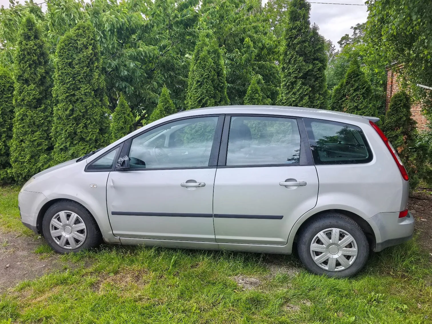 Srebrny samochód typu minivan zaparkowany na trawie na tle gęstego szpaleru zielonych tuj. Pojazd jest pokazany z profilu od strony pasażera.