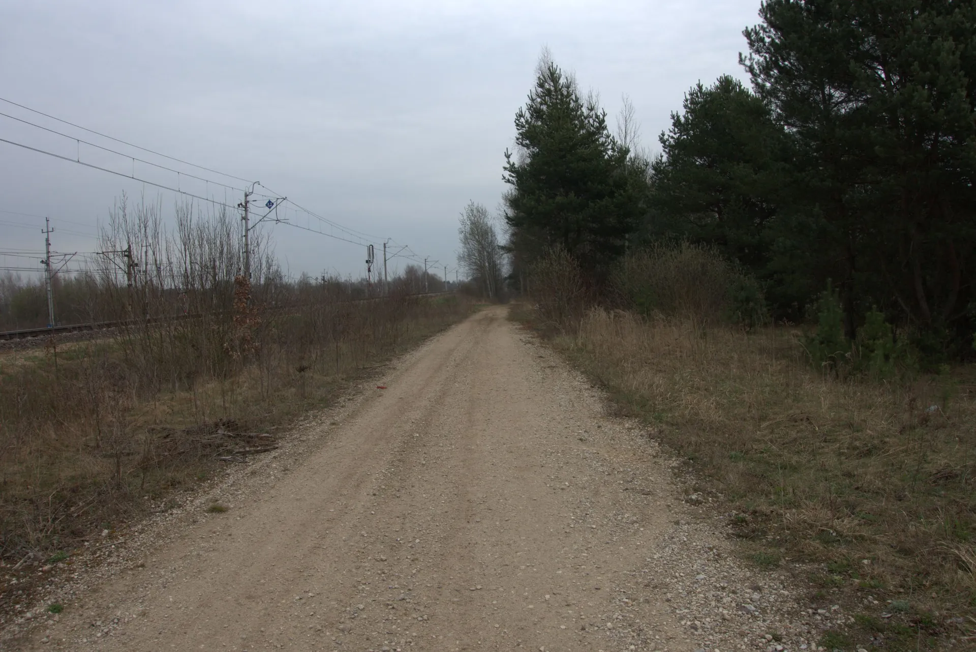 Nieutwardzona, piaszczysta droga prowadząca w głąb obrazu. Po lewej stronie znajdują się tory kolejowe z siecią trakcyjną i słupami elektrycznymi, oddzielone od drogi pasem suchej trawy i krzewów. Po prawej stronie rośnie gęsty las sosnowy. Niebo jest zachmurzone i szare.