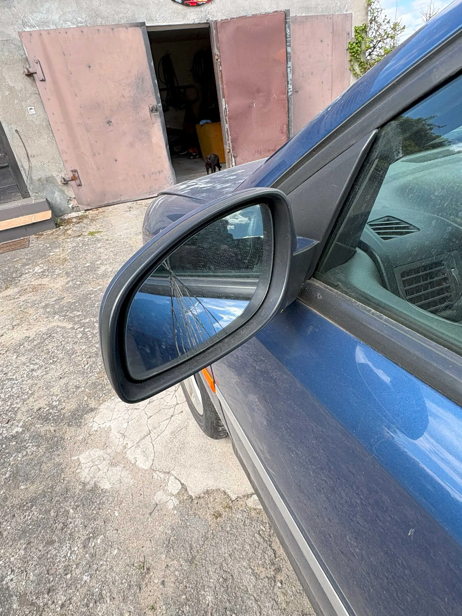Zbliżenie na boczne lusterko wsteczne niebieskiego samochodu z widocznymi pęknięciami. W tle otwarte brązowe drzwi garażu, wewnątrz żółty pojemnik i narzędzia. Na podwórku z pękniętego betonu widoczny mały czarny zwierzak. Fragment budynku z szarą ścianą i zielonym pnączem po prawej stronie.