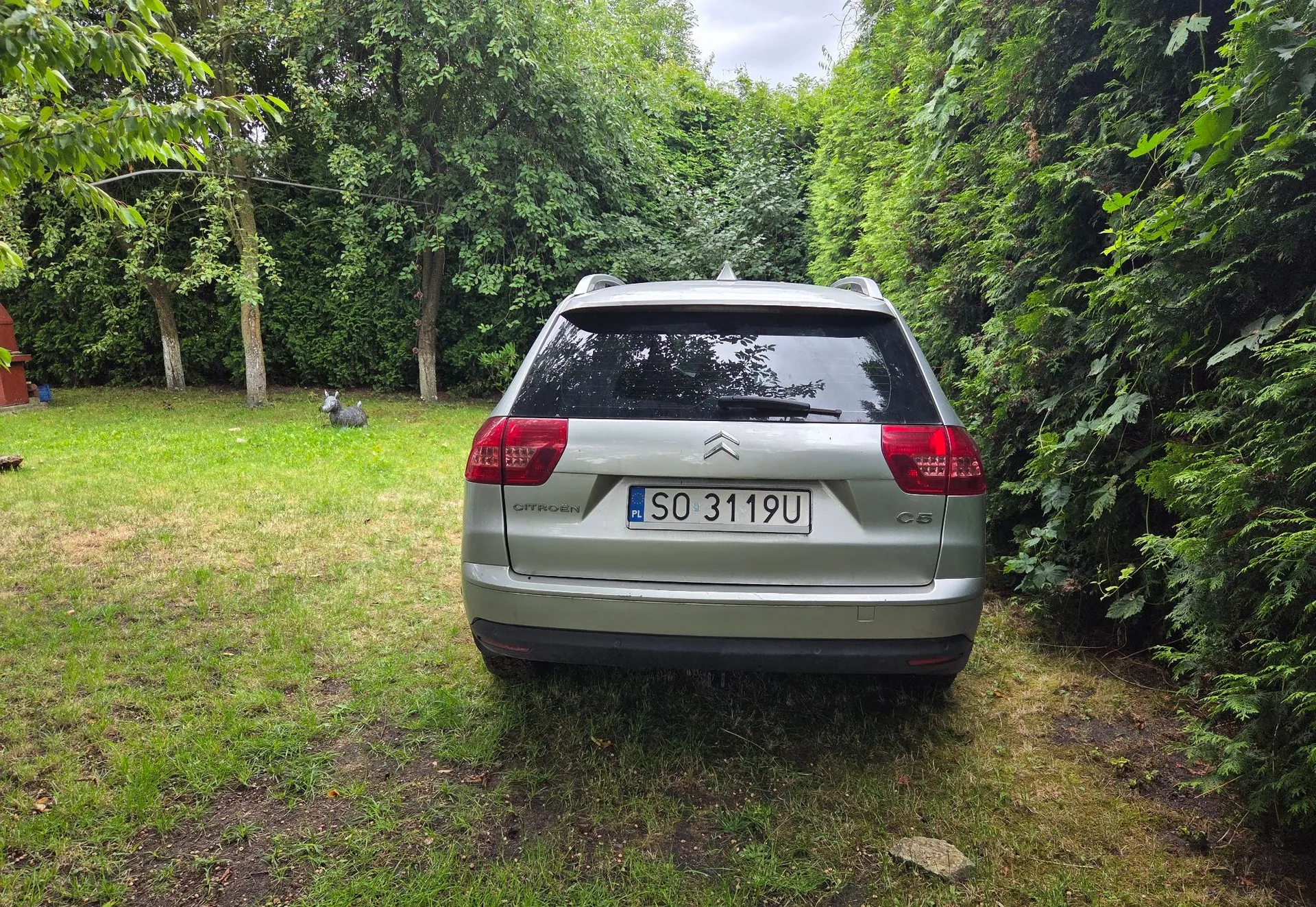 Srebrny samochód marki Citroën C6 w nadwoziu kombi, zaparkowany tyłem na trawiastym podjeździe. Na klapie bagażnika widoczne jest logo Citroëna oraz polska tablica rejestracyjna o numerze SO 3119U. Po lewej stronie nadwozia znajduje się napis CITROËN, a po prawej C6. W tle widać gęste, zielone drzewa i krzewy, a po lewej stronie na trawniku znajduje się mała, szara figurka zwierzęcia.