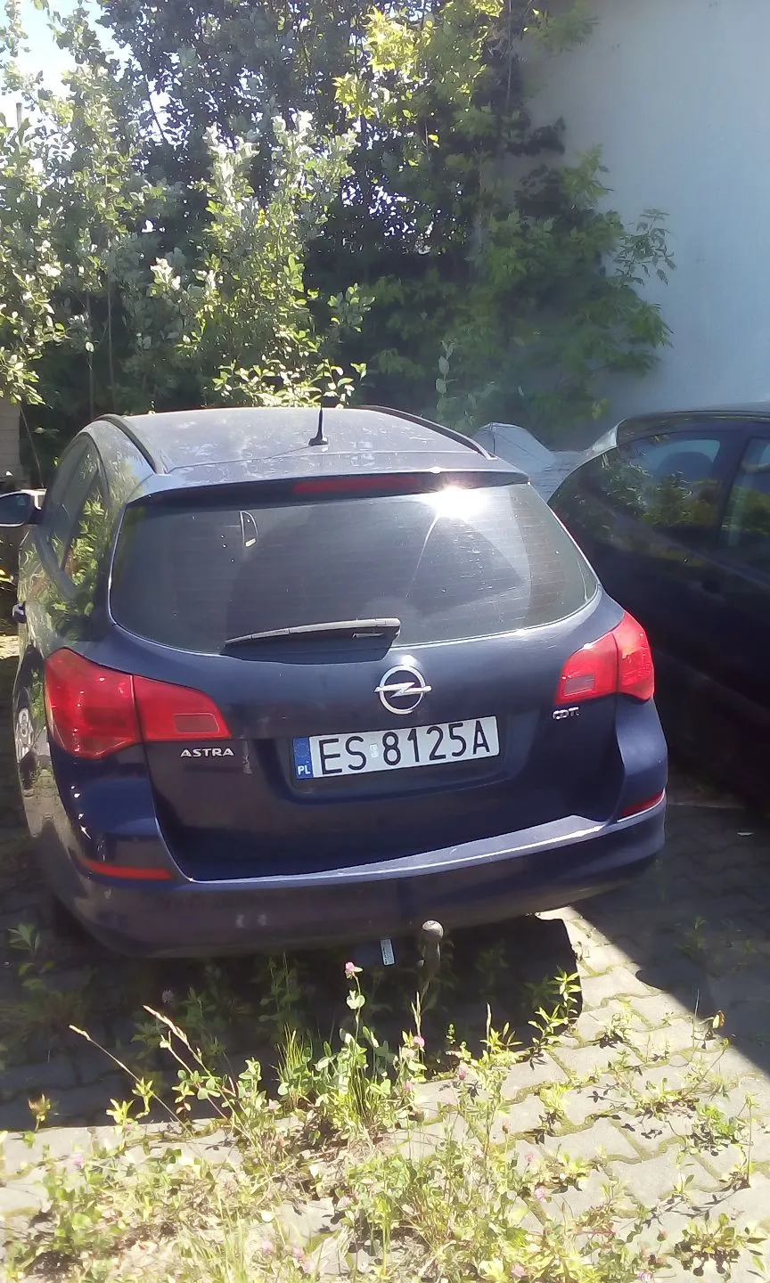 Tylny widok ciemnoniebieskiego samochodu marki Opel Astra zaparkowanego na kostce brukowej z wyrastającą trawą. Samochód ma polską tablicę rejestracyjną o numerze ES 8125A. W tle widoczne są zielone drzewa i fragment białej ściany budynku.