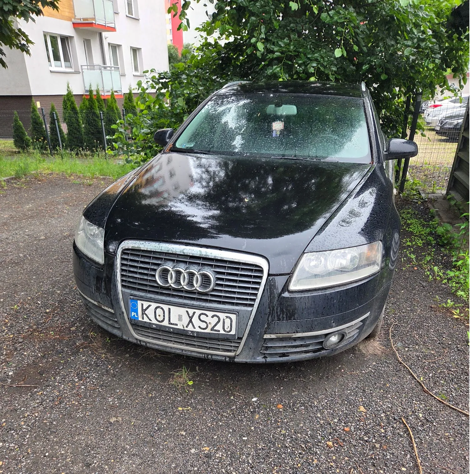 Czarny samochód marki Audi zaparkowany na żwirowym podjeździe przed białym budynkiem mieszkalnym. Auto jest mokre od deszczu. Na przodzie widoczna jest tablica rejestracyjna o numerze KOL XS20. W tle znajdują się zielone krzewy i drzewa.