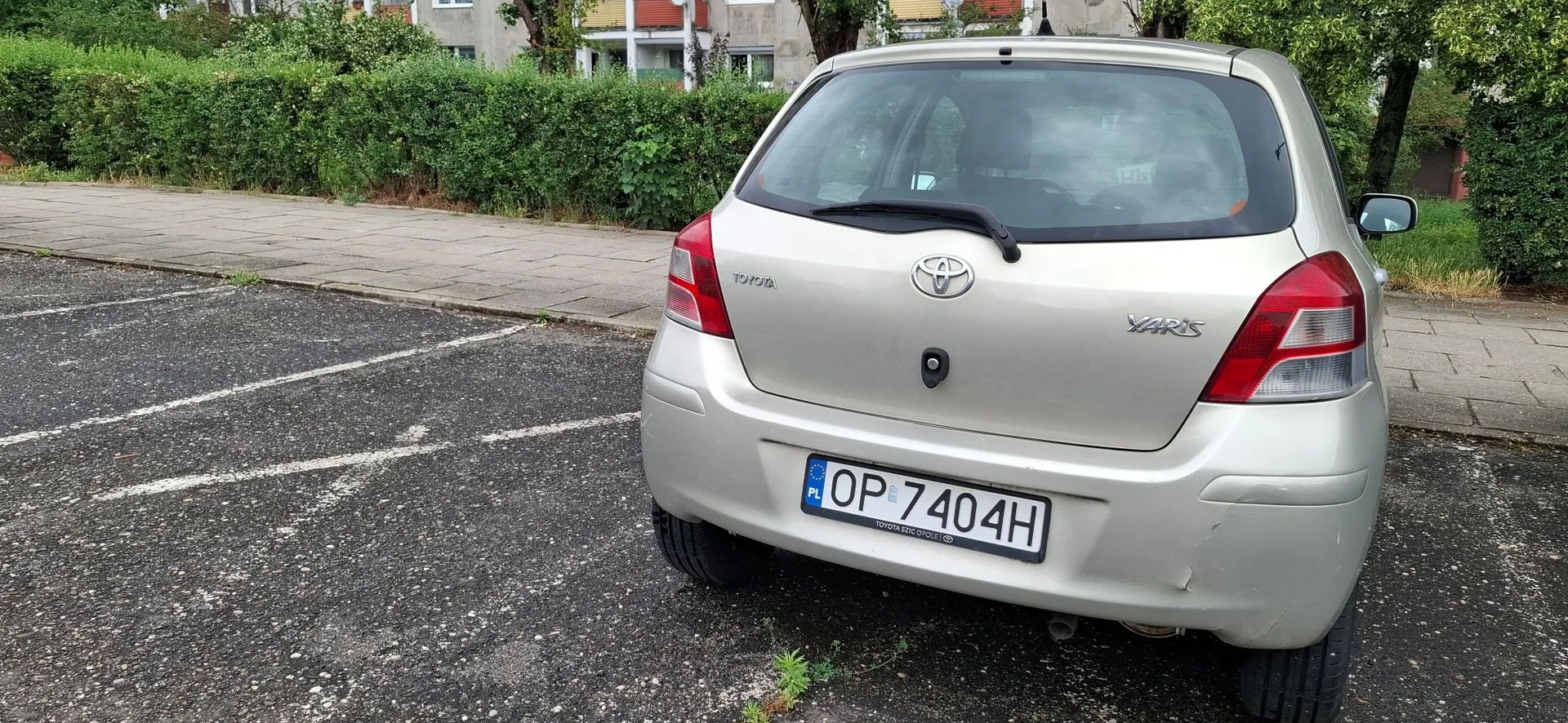 Tylny widok srebrnego samochodu marki Toyota Yaris zaparkowanego na asfaltowym parkingu. Pojazd posiada polską tablicę rejestracyjną o numerze OP 7404H. W tle widoczny jest chodnik oraz gęsty, zielony żywopłot i drzewa.