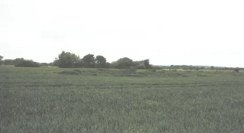 Grunt 3910 m² Krosno Odrzańskie, Słubicka - zdjęcie 1