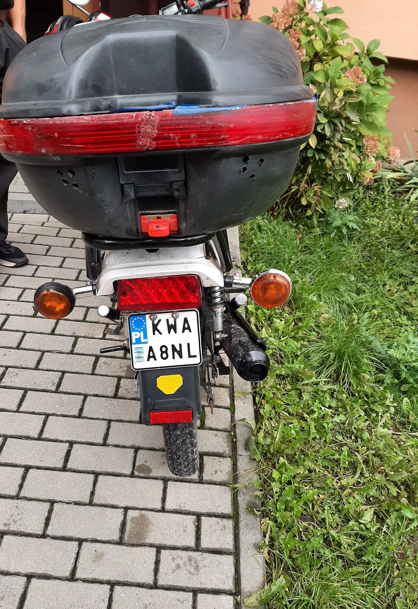 Tylny widok motocykla z dużym, czarnym kufrem transportowym. Poniżej kufra znajduje się czerwone światło stopu oraz polska tablica rejestracyjna o numerze KWA A8NL. Po bokach widoczne są pomarańczowe kierunkowskazy. Motocykl stoi na szarym chodniku z kostki brukowej, obok zielonej trawy i krzewu.