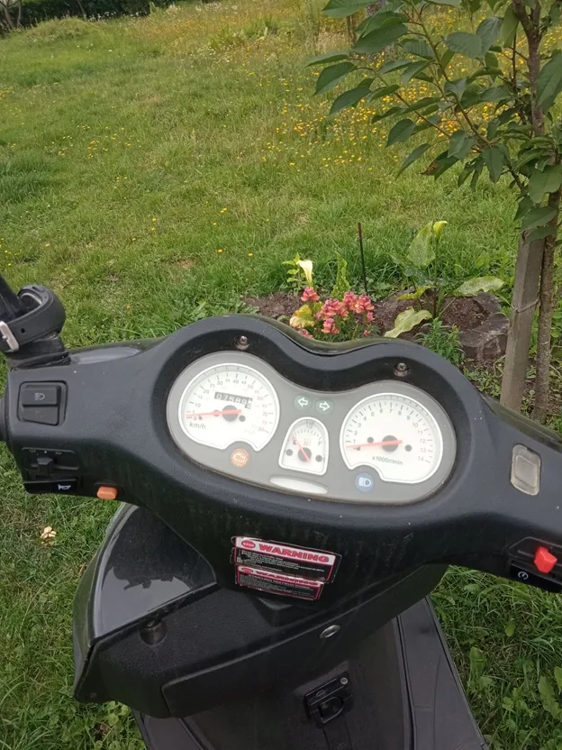 Widok z perspektywy kierowcy na kokpit czarnego skutera zaparkowanego na trawniku z żółtymi kwiatami. Na desce rozdzielczej znajdują się dwa okrągłe wskaźniki: licznik prędkości w km/h po lewej stronie oraz obrotomierz x1000r/min po prawej. Pomiędzy nimi widoczne są mniejsze kontrolki i wskaźnik paliwa. Poniżej znajduje się czerwona naklejka z napisem 'WARNING'. Po bokach widoczne są przełączniki kierunkowskazów i świateł.