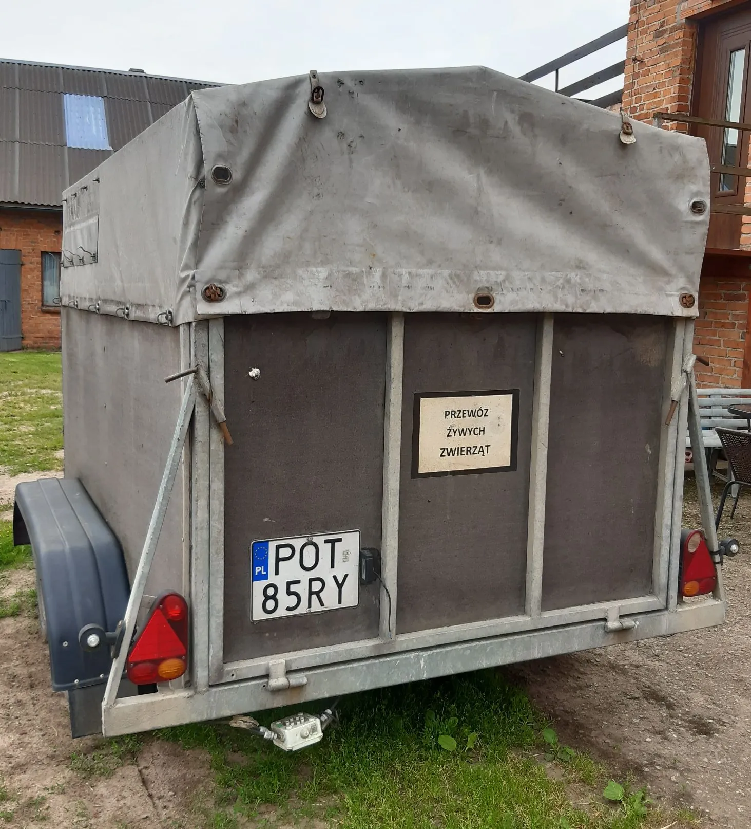Tylny widok szarej przyczepy z plandeką. Na tylnej klapie znajduje się biała tabliczka z napisem „PRZEWÓZ ŻYWYCH ZWIERZĄT” oraz polska tablica rejestracyjna o numerze „POT 85RY”. Przyczepa ma czerwone światła tylne i jest zaparkowana na trawiasto-piaszczystym podłożu przed budynkiem z czerwonej cegły.