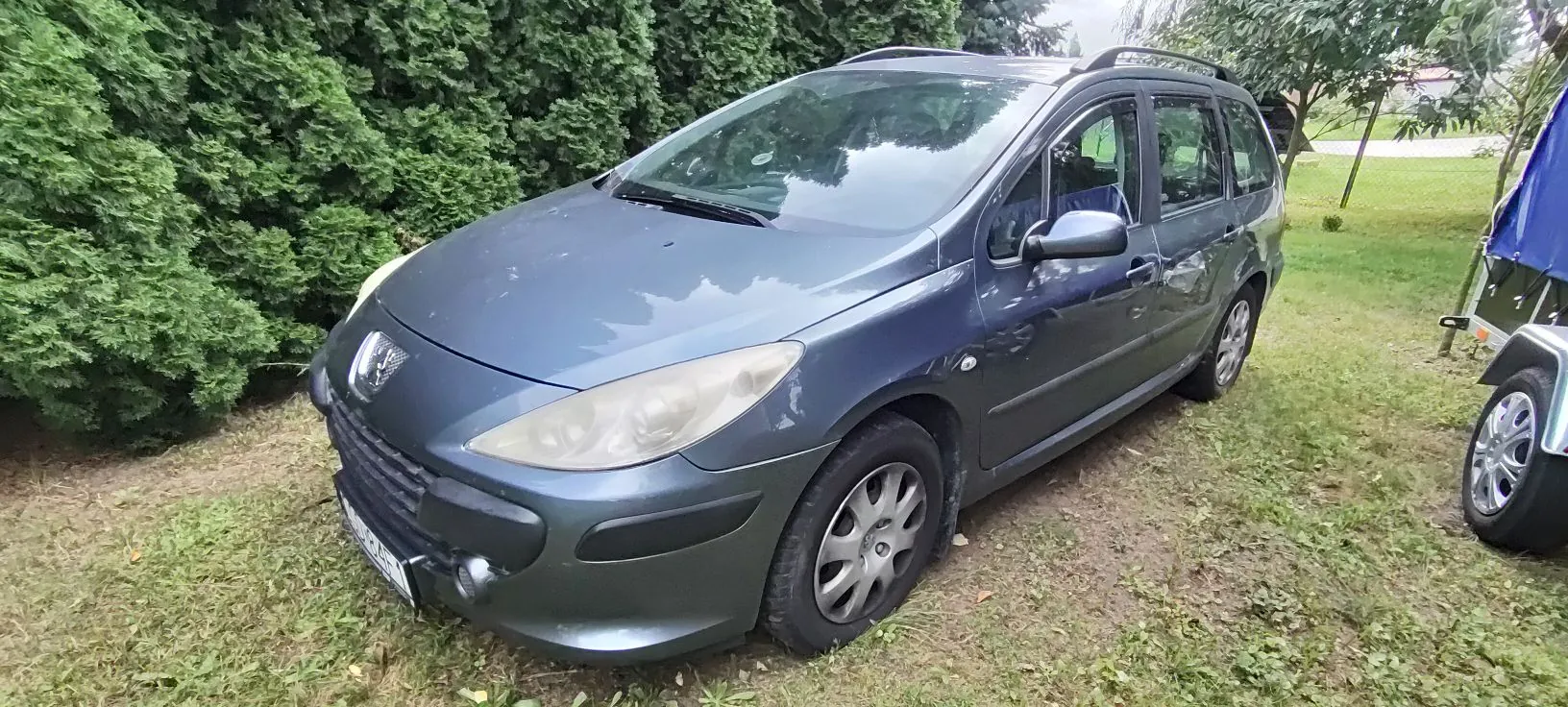 Niebiesko-szary samochód osobowy typu kombi marki Peugeot zaparkowany na trawiastym podłożu przed gęstym, zielonym żywopłotem. Widoczny jest przód i prawy bok pojazdu.